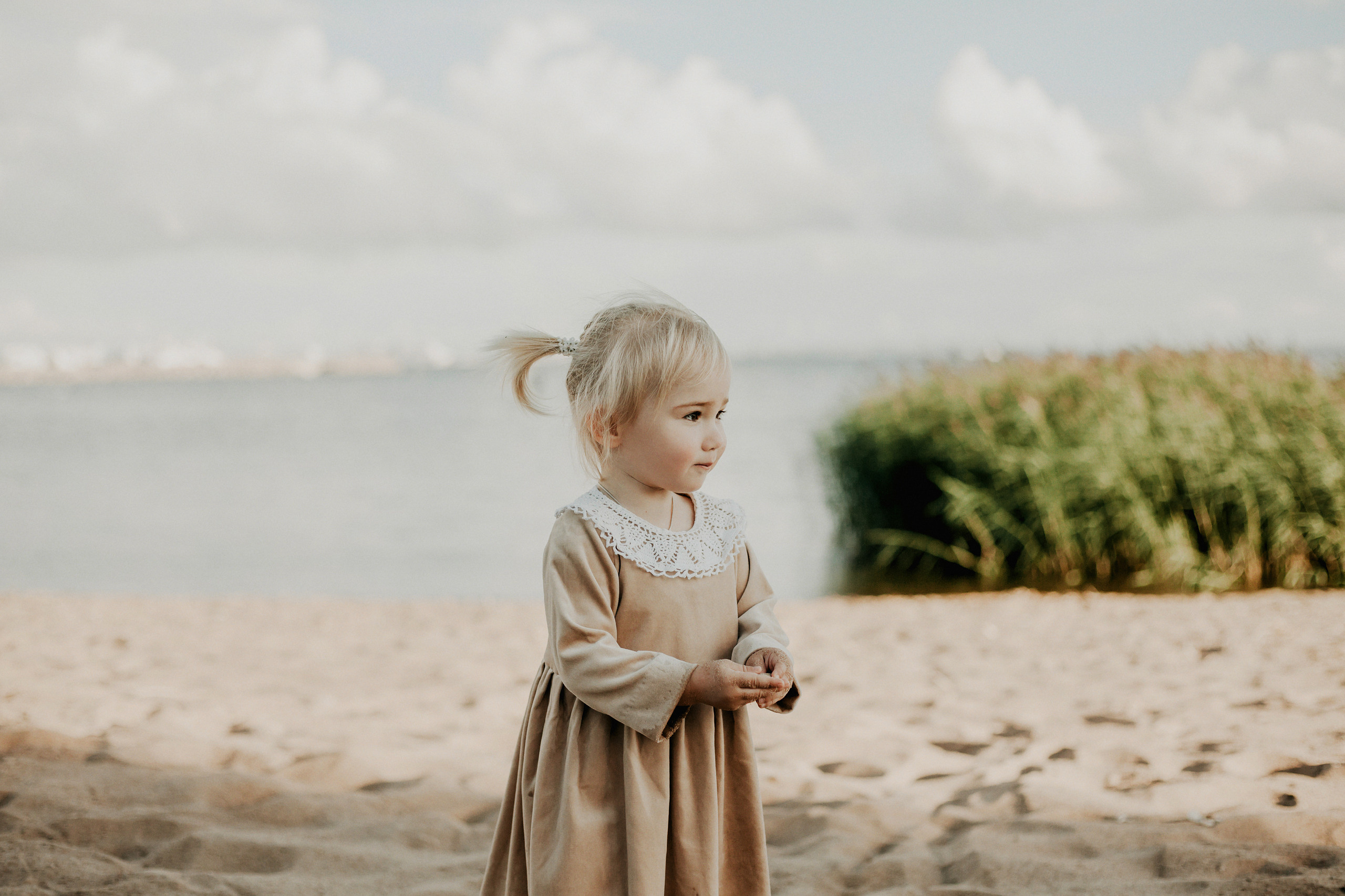 Солнечный зайчик. Фотограф Анна Гребенник