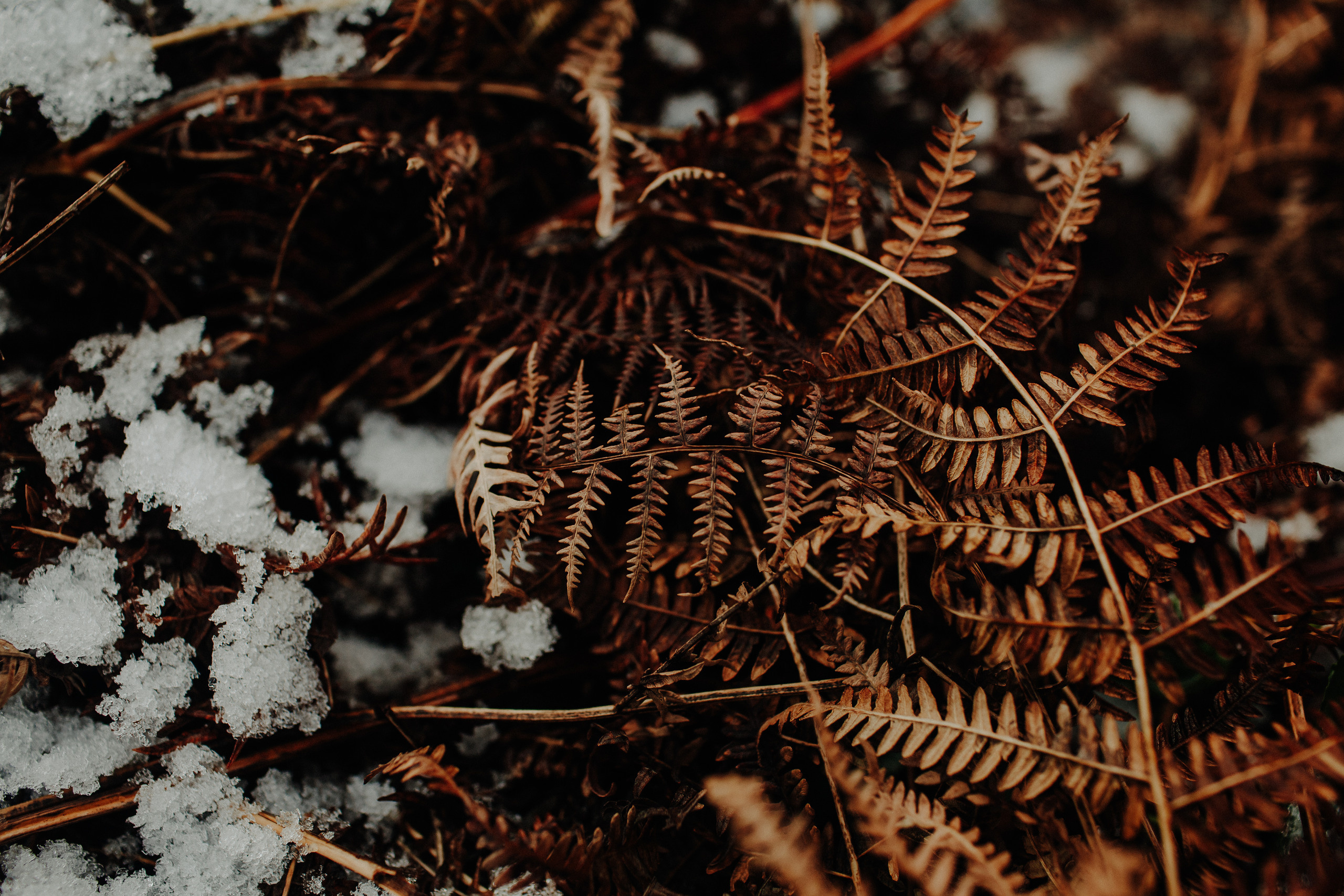 MARINA & OLEG. Фотограф Анна Гребенник