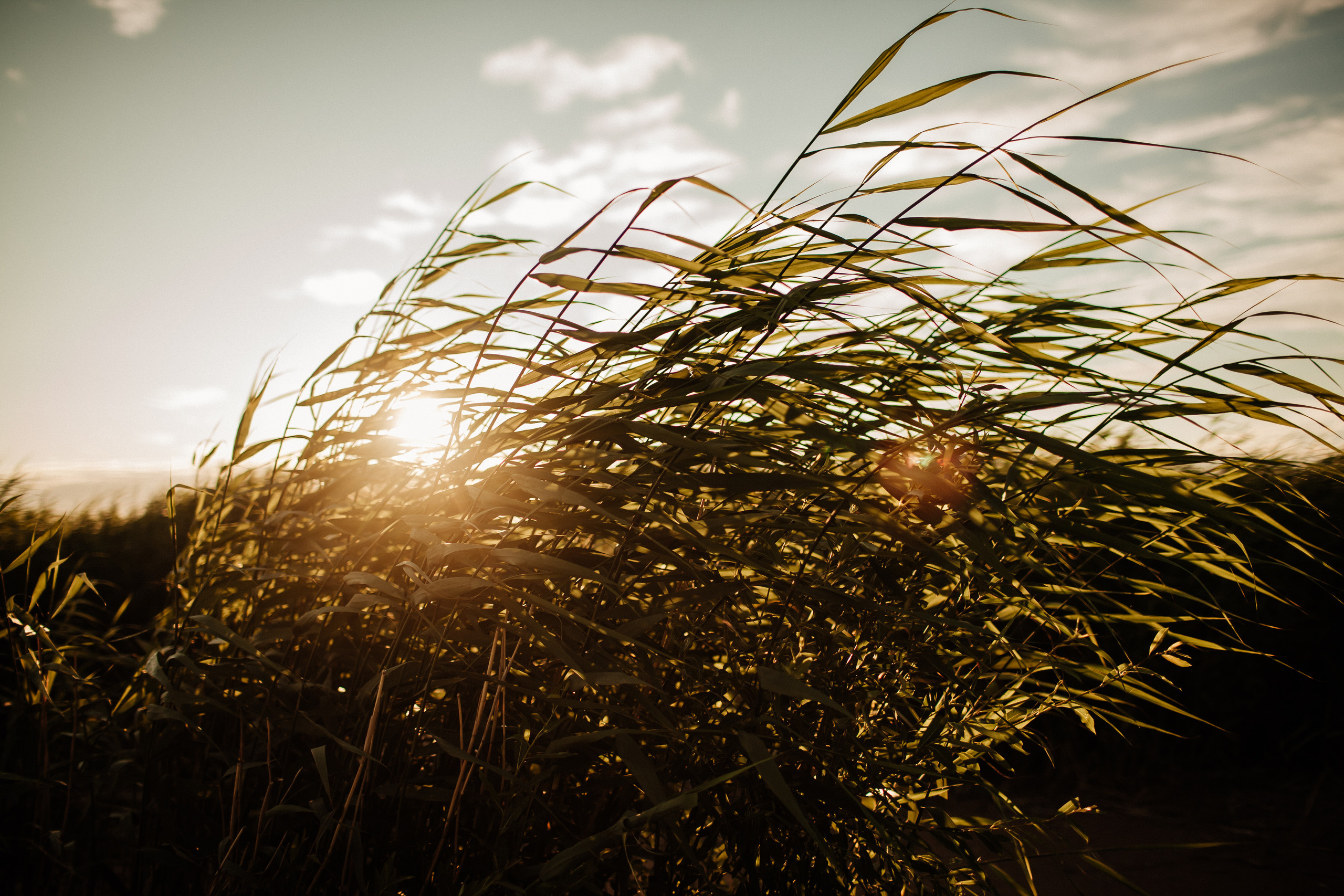 EVGENII & NATALI. Фотограф Анна Гребенник