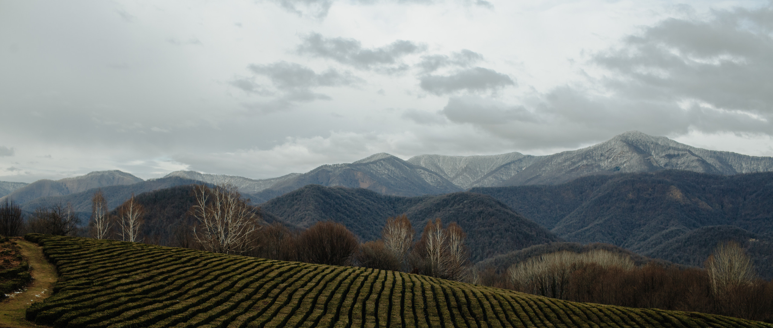 MARINA & OLEG. Фотограф Анна Гребенник