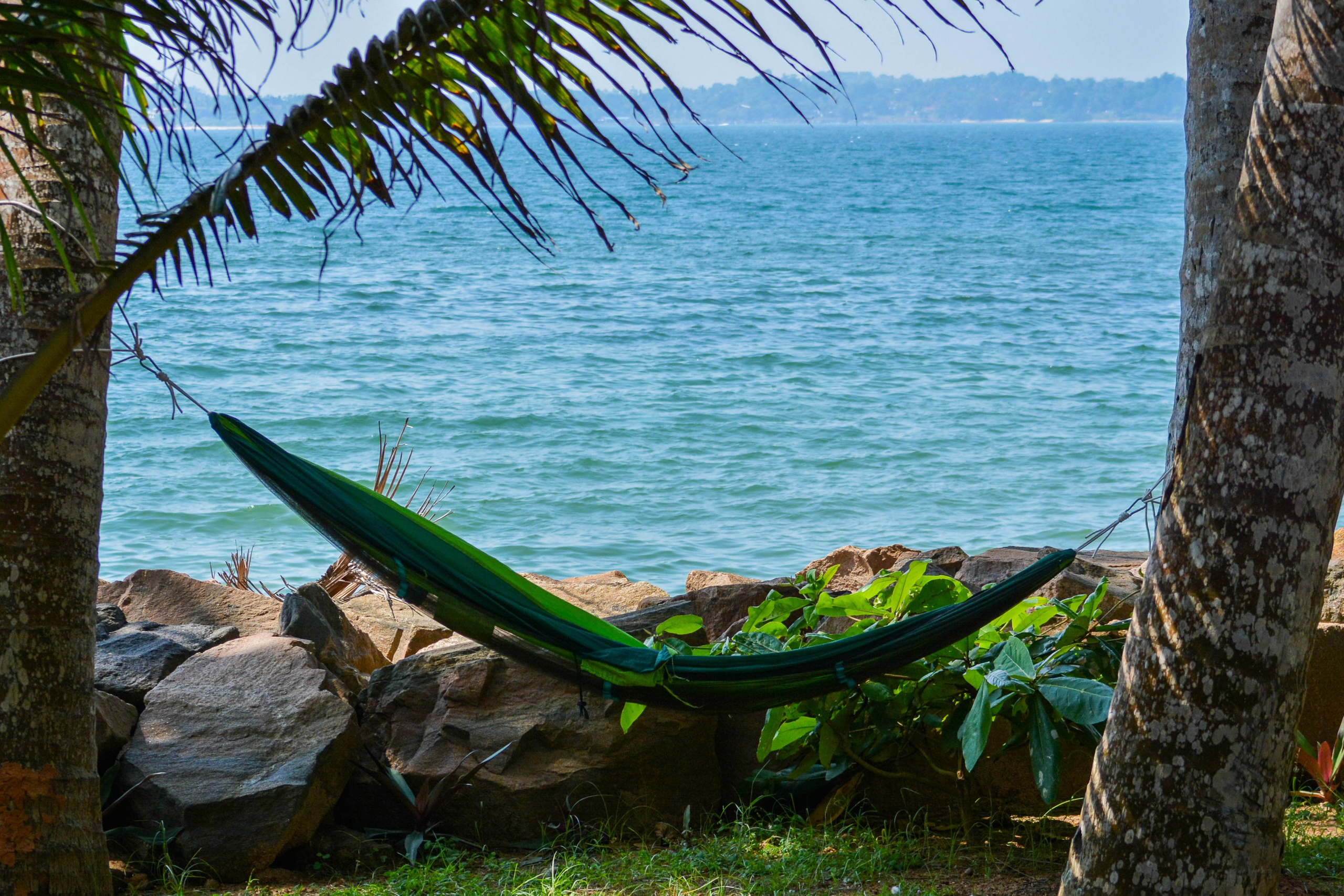 TravelFOTO. Фотограф для маркет плэйсов и портретный фотограф Балакирев Дмитрий москва