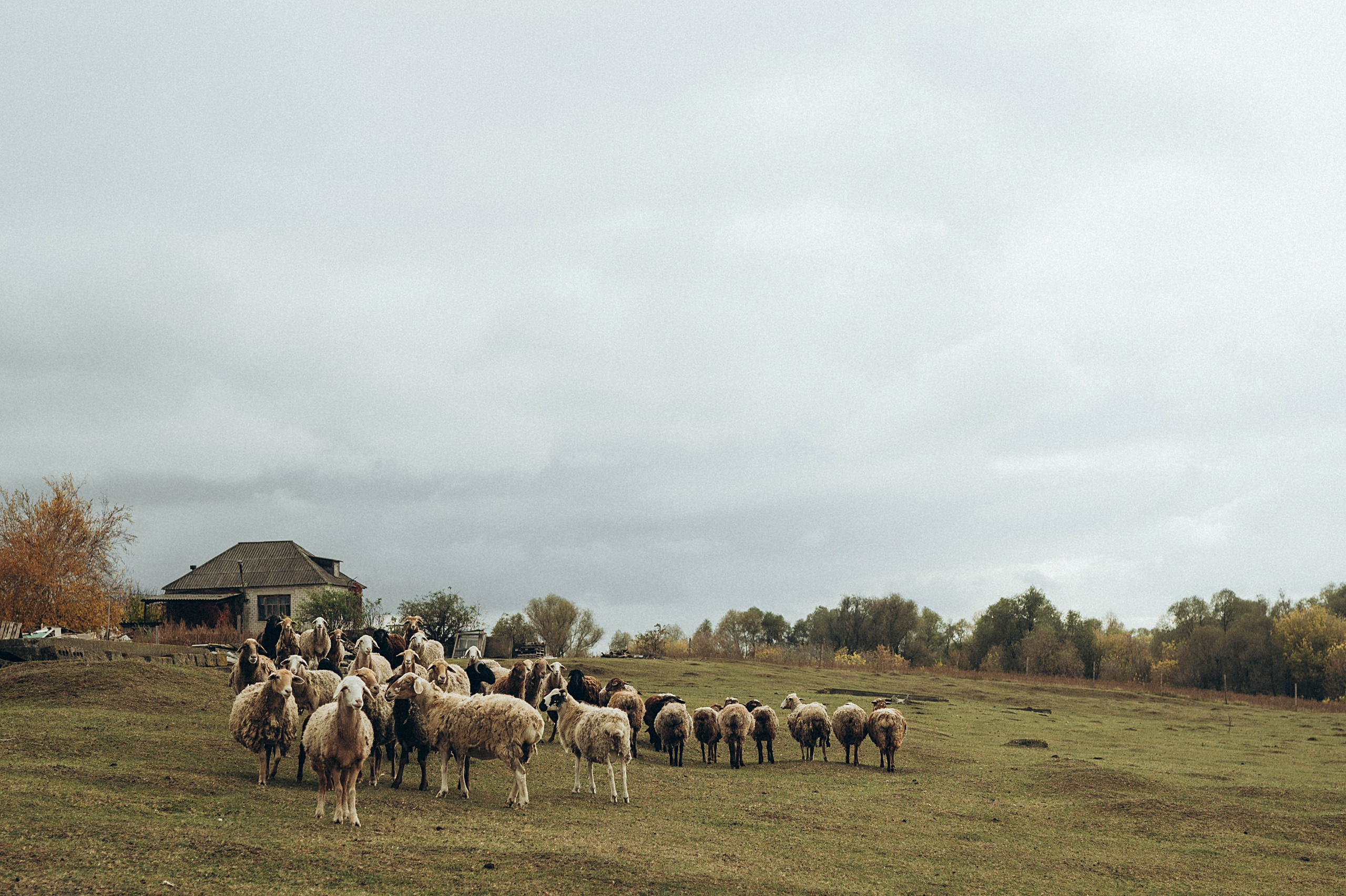 Alina. Семейный и детский фотограф в Белгороде Ольга Сорока