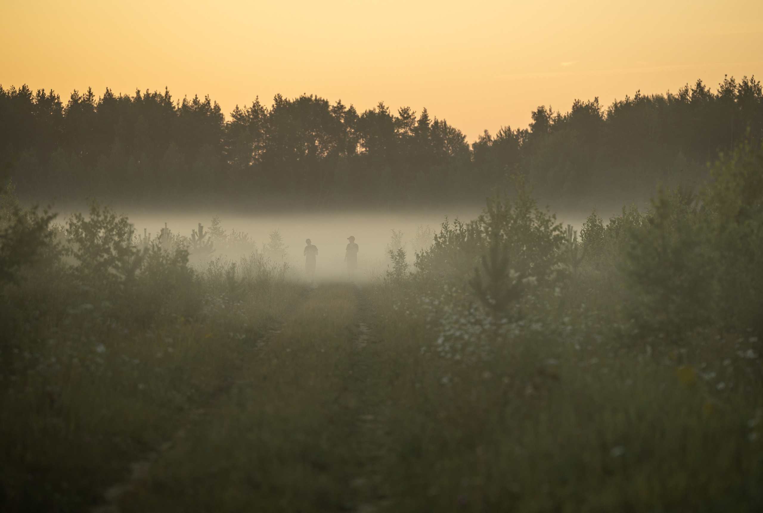 Природные пейзажи. Наталия Клевинскас портретный фотограф в Костроме