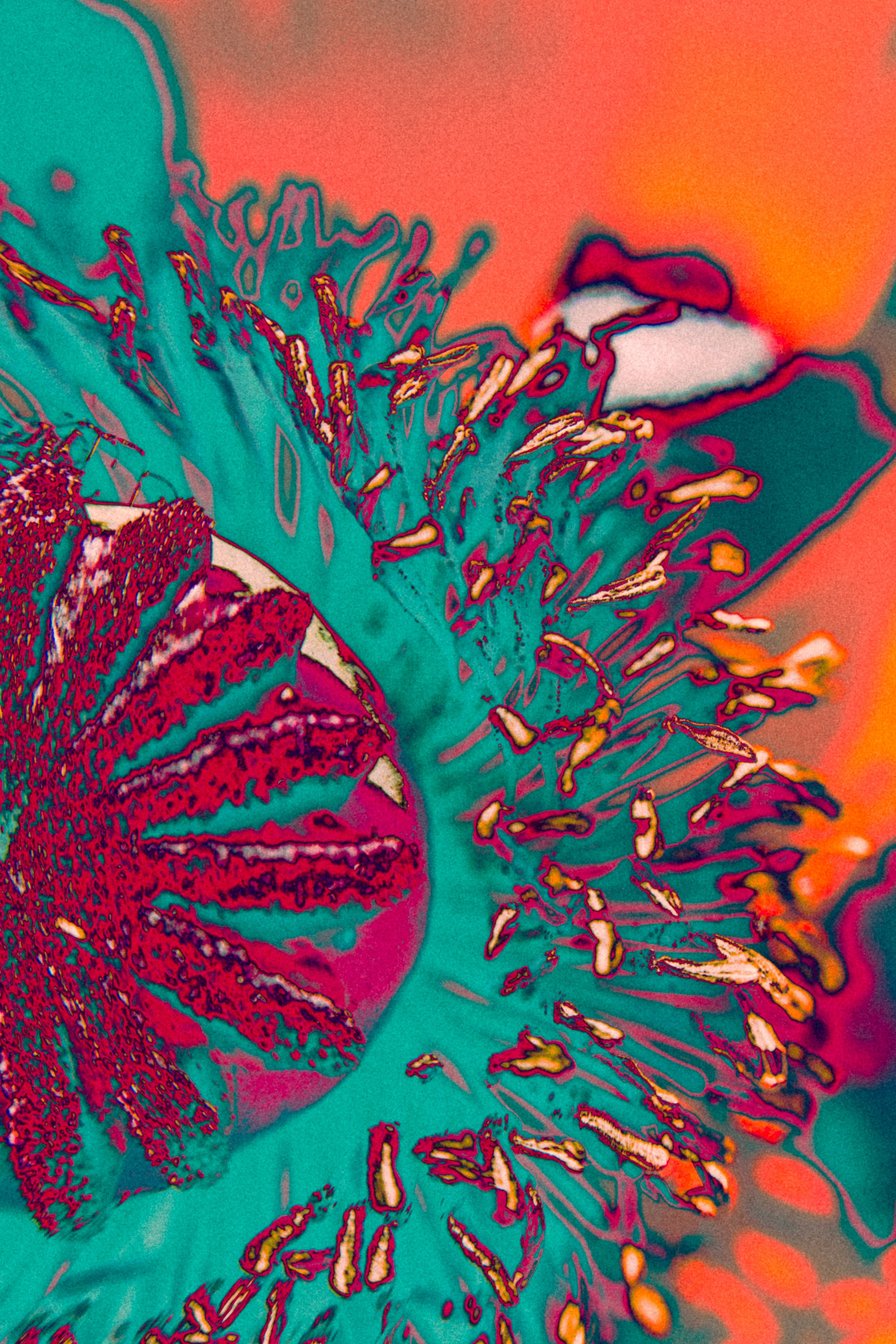 NON-EXISTENT FLOWERS. Фотограф Евгений Чащихин RGB АРХИТЕКТОР в Перми