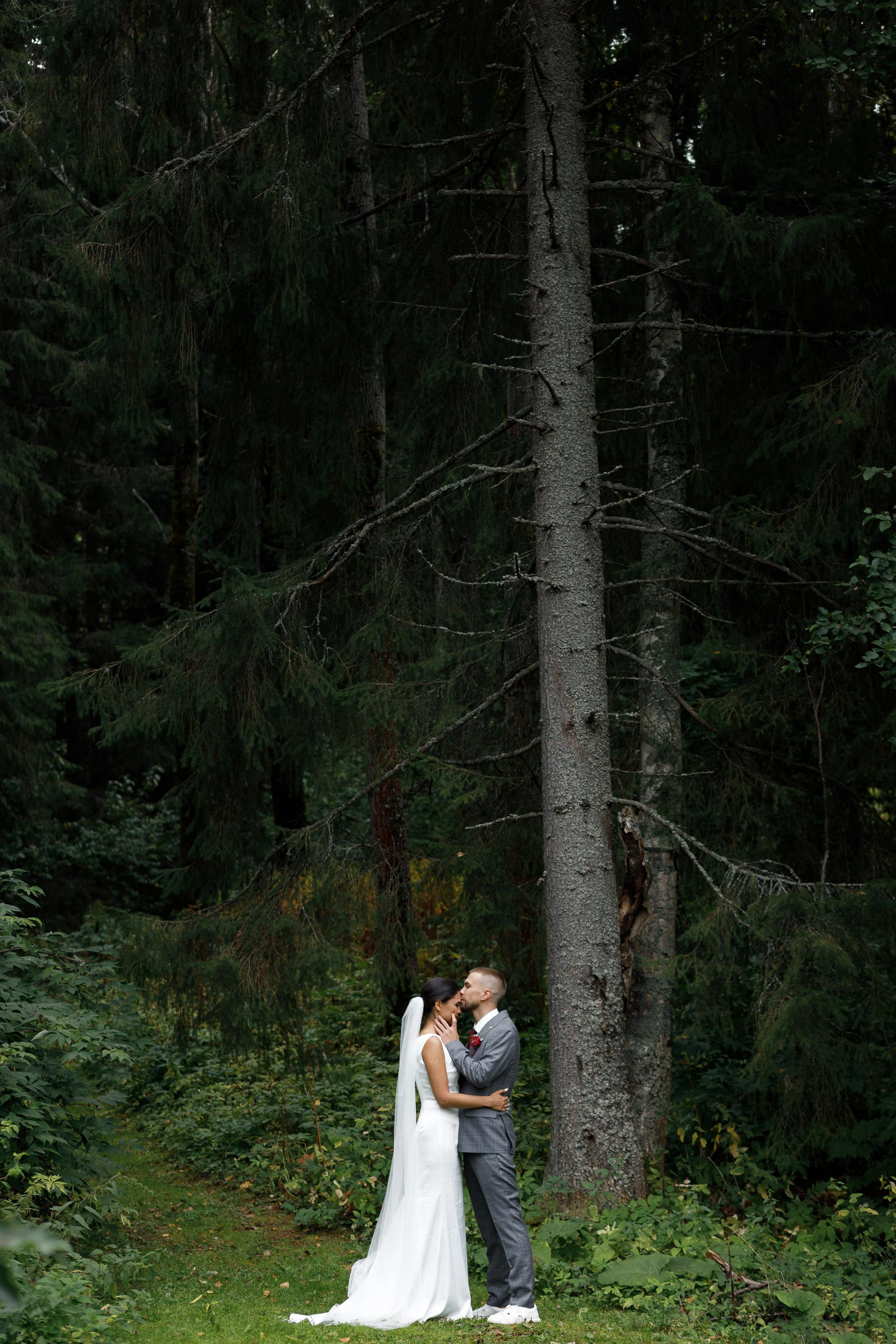Наташа и Рома. Свадьба на исходе лета. Фотограф Дима Третий