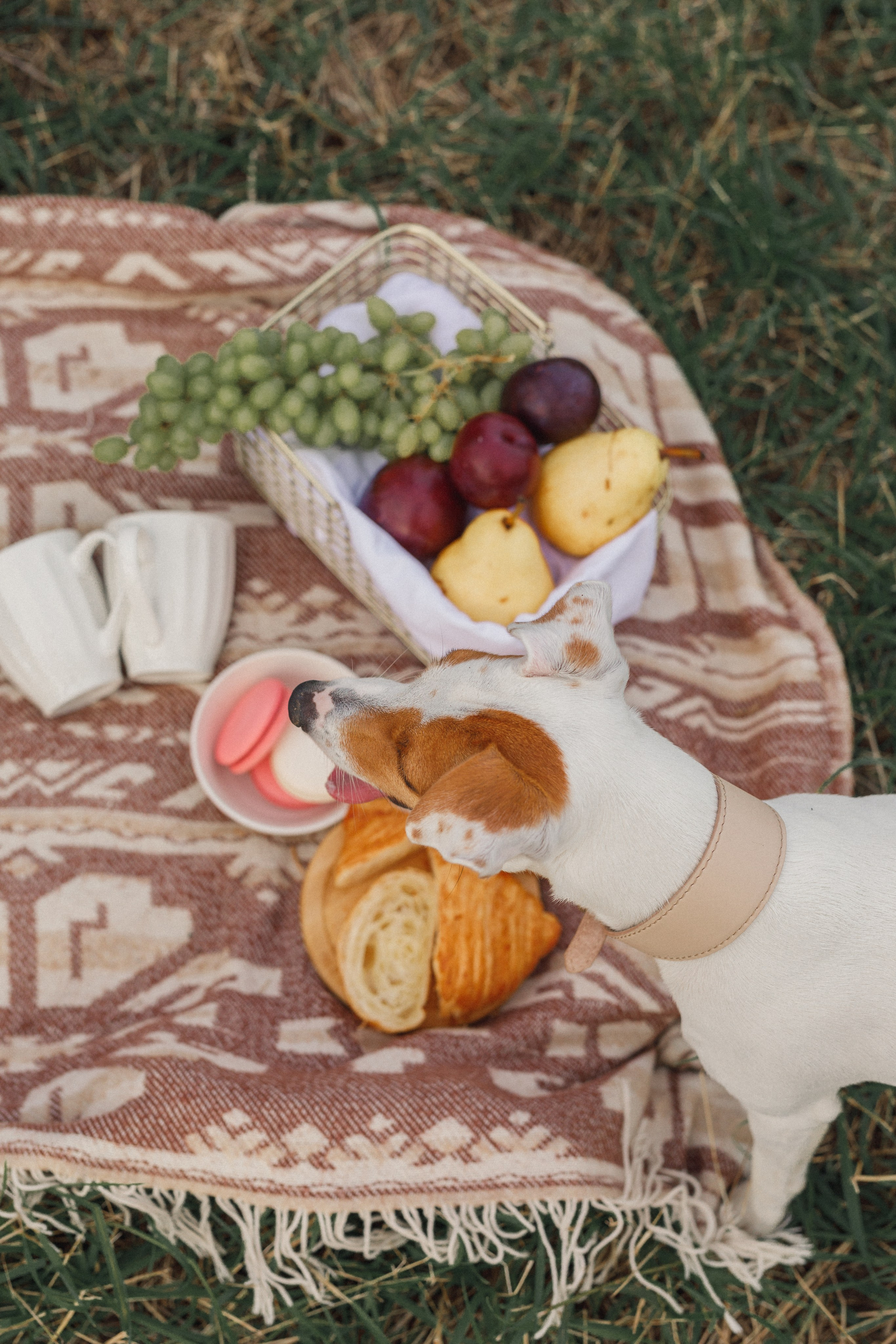 Дорожные приключения. Свадебный и семейный фотограф во Владивостоке Овчинникова Дарья