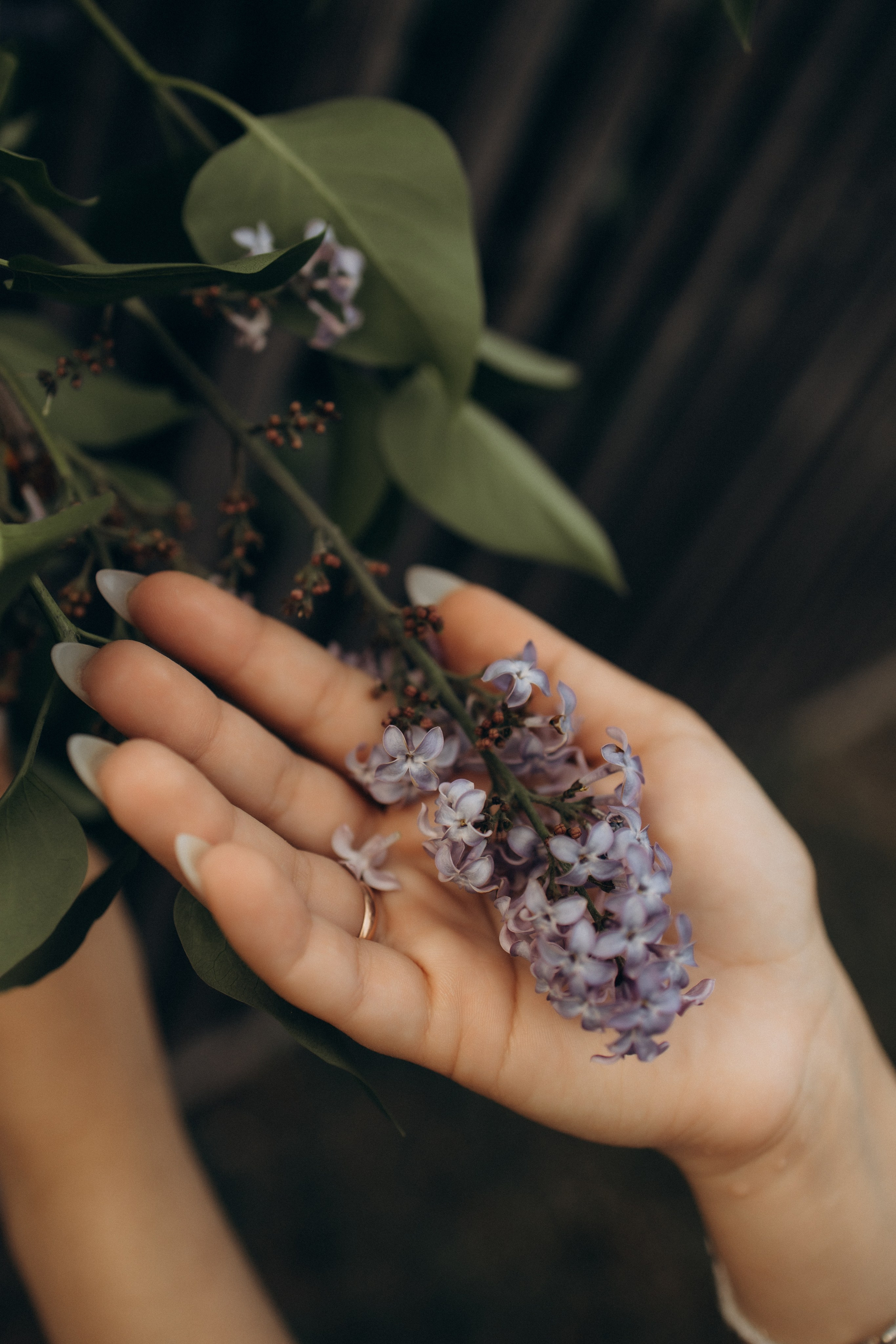 Соня, Марина, Надя, Сережа. Семейный и свадебный фотограф Анастасия Слободчикова. Лысьва, Чусовой, Пермь