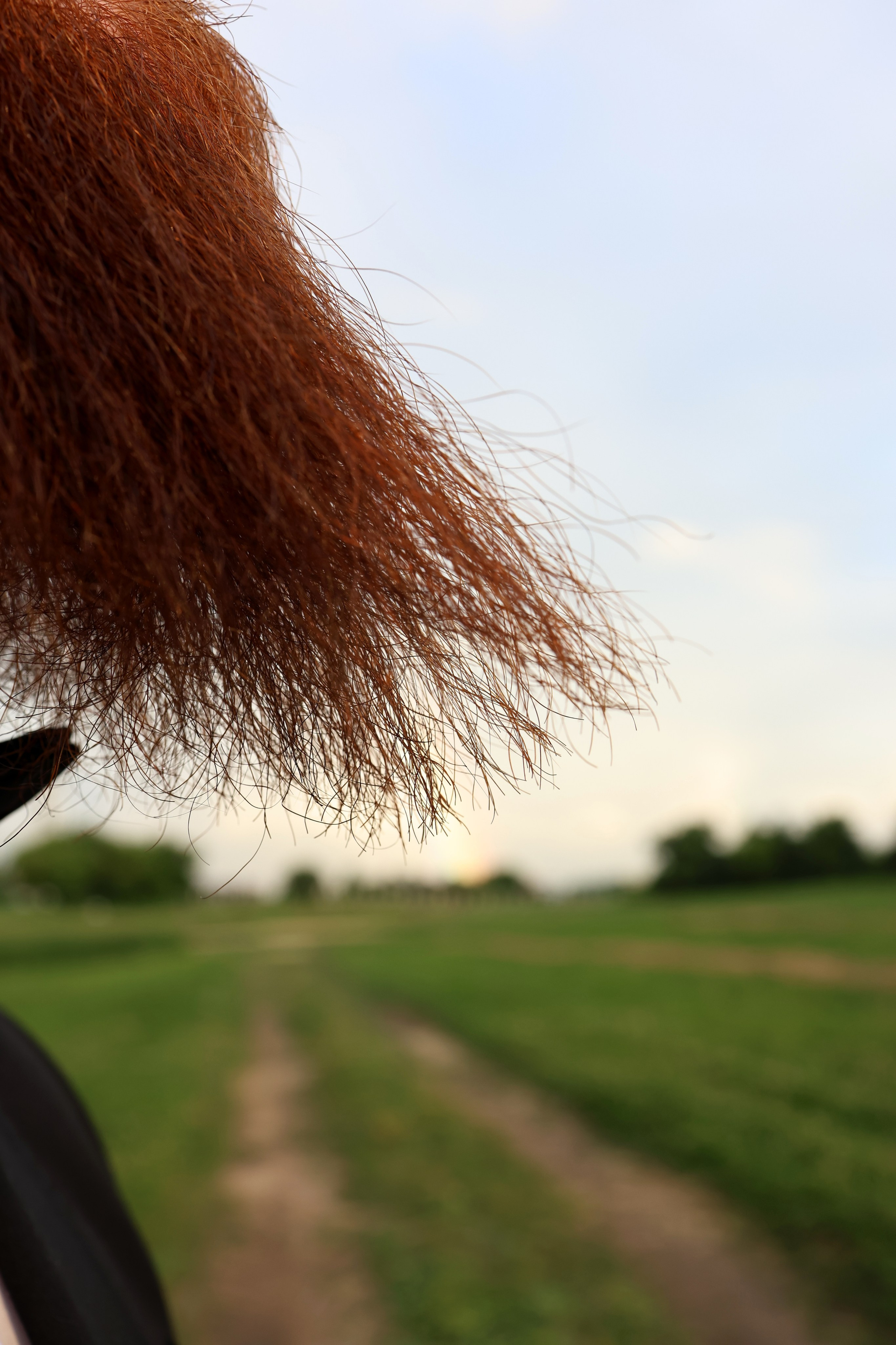 Валерия и Николай. Свадебный и семейный фотограф в Воронеже Ксения Воротникова