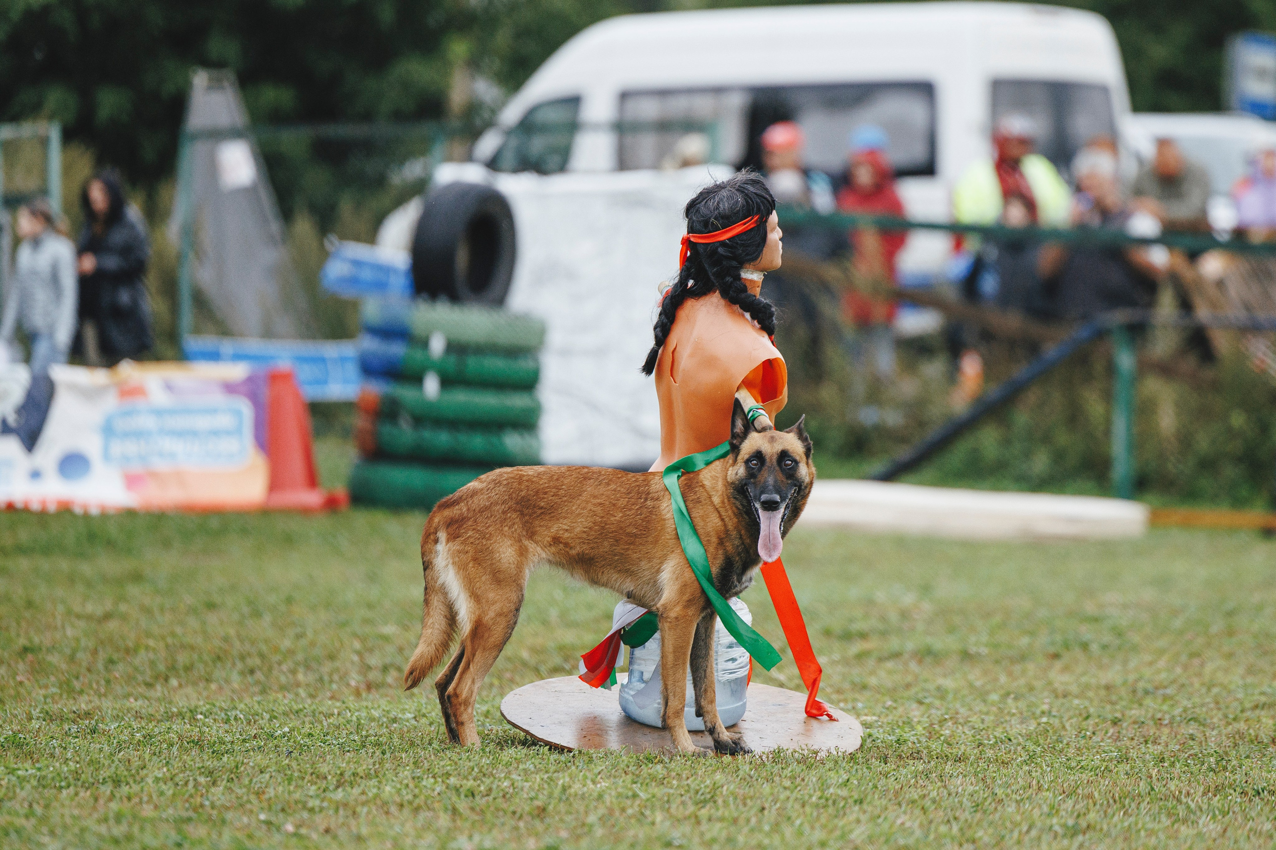 08.08.25-10.08.25 ЧР по мондьорингу г. Вологда. Фотограф-анималист Анна Маринич