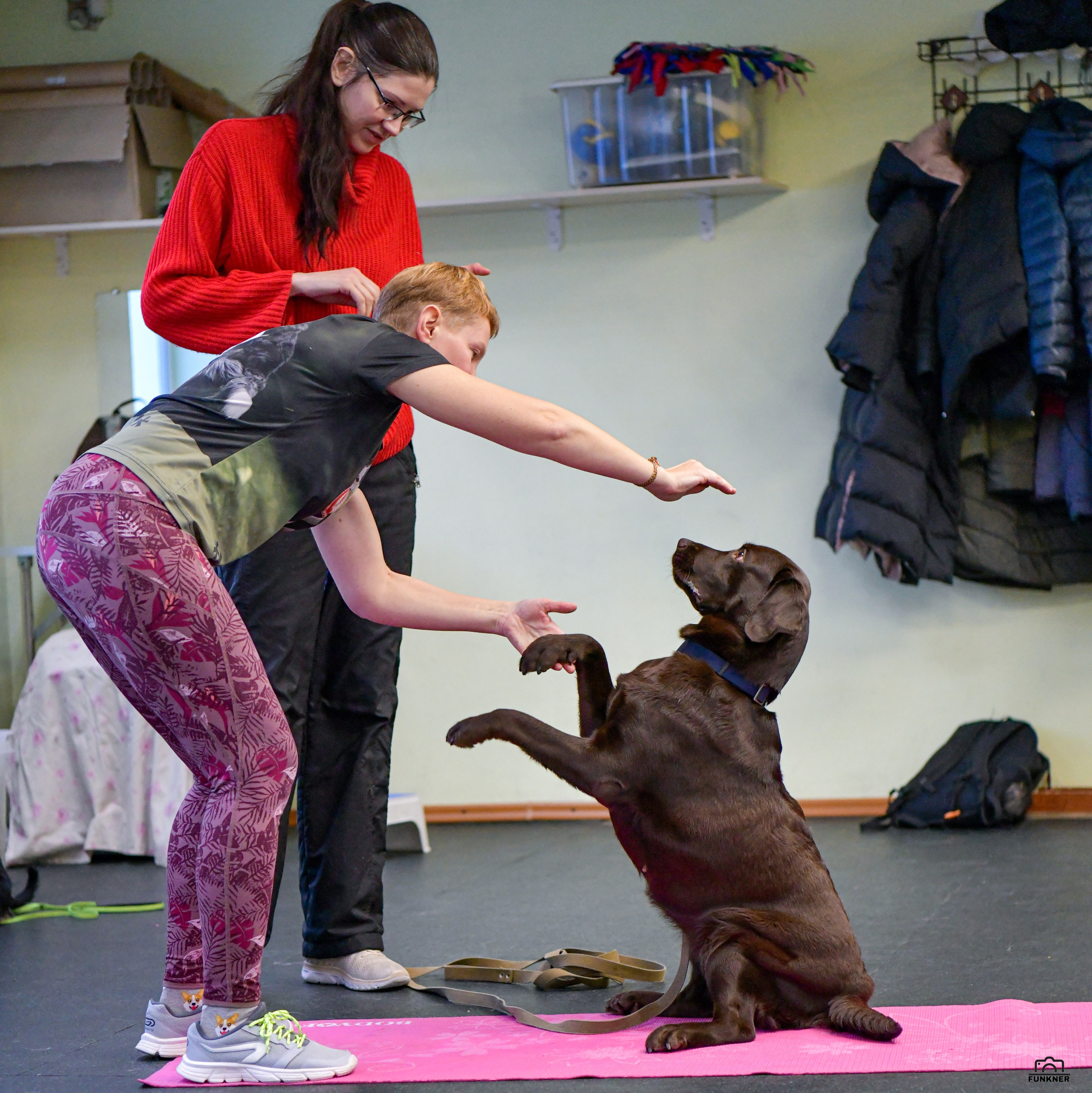 Кинологический клуб «Бодрый хвост». Свой взгляд через объектив