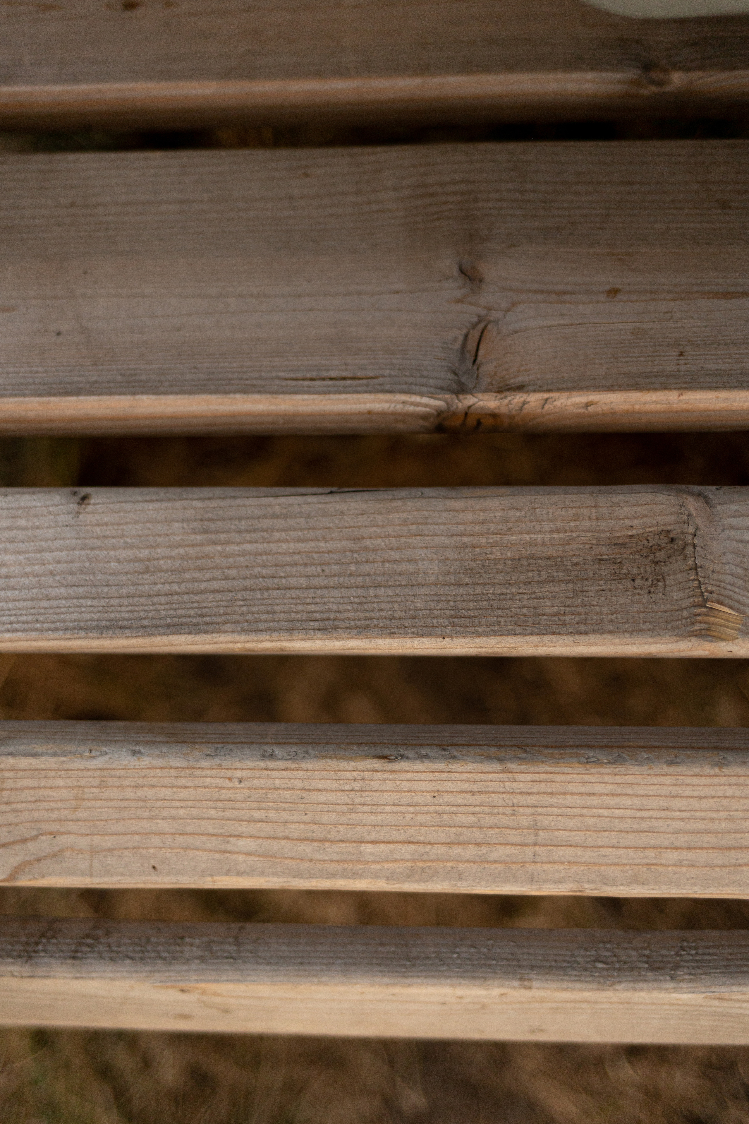 Уличная студия. Анна Демидец — маркетолог и фотограф в Новошахтинске, Шахтах и Ростове-на-Дону и онлайн по РФ