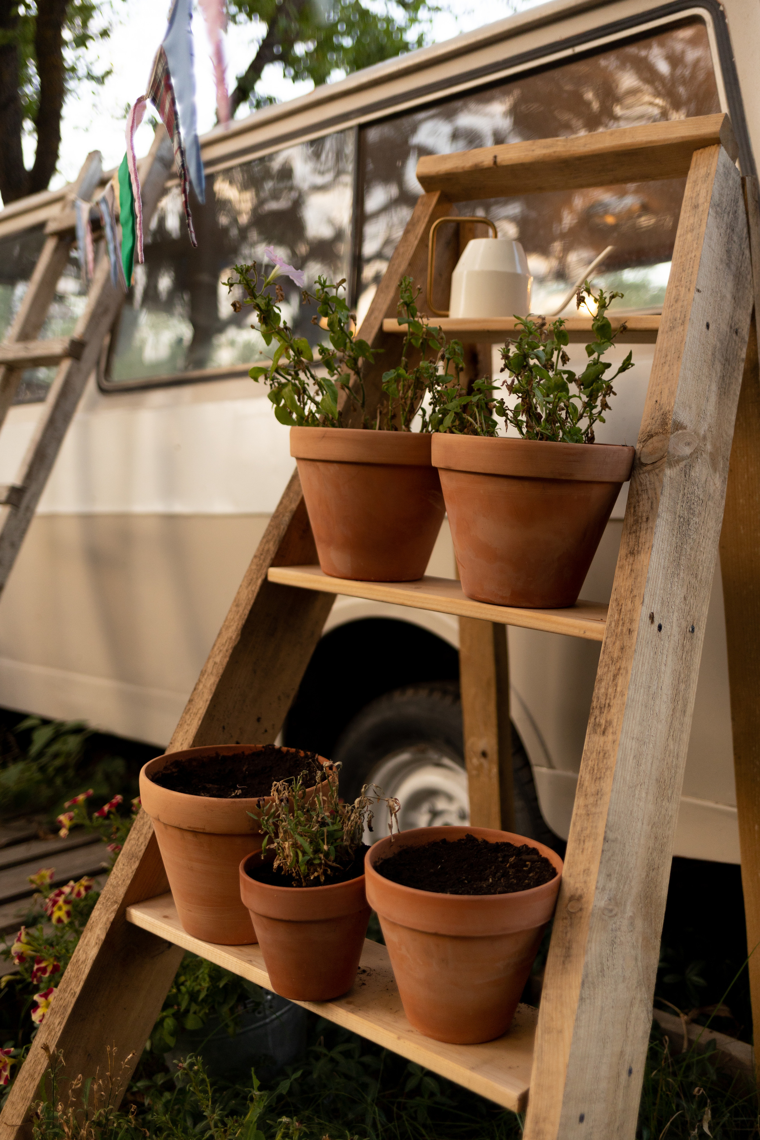 Уличная студия. Анна Демидец — маркетолог и фотограф в Новошахтинске, Шахтах и Ростове-на-Дону и онлайн по РФ