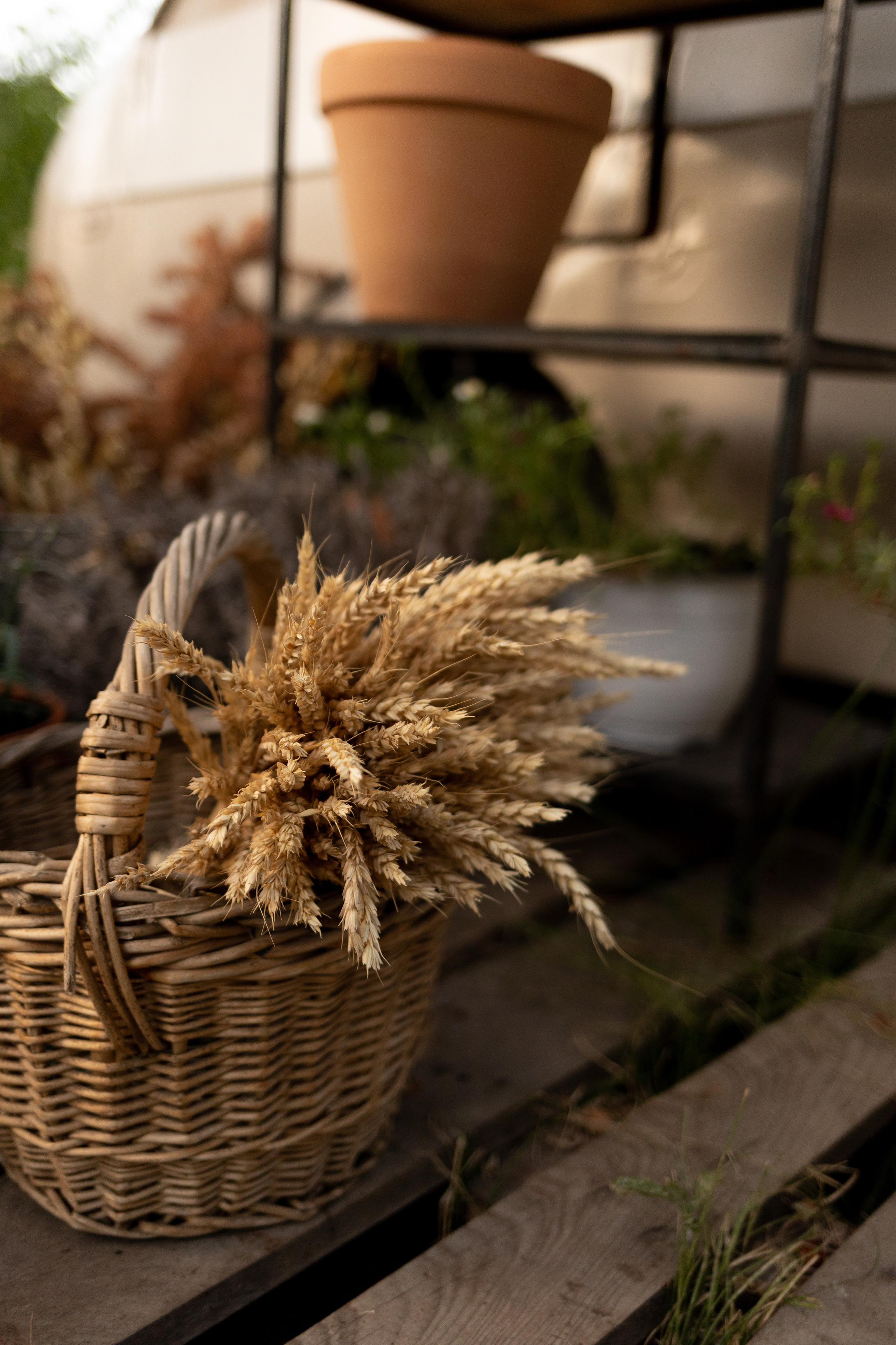 Уличная студия. Анна Демидец — маркетолог и фотограф в Новошахтинске, Шахтах и Ростове-на-Дону и онлайн по РФ