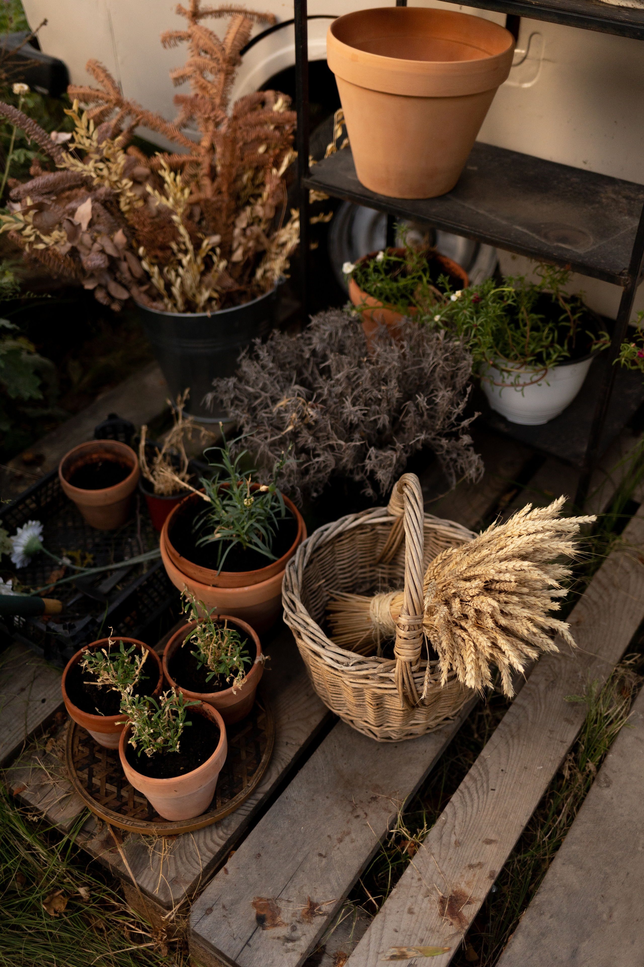 Уличная студия. Анна Демидец — маркетолог и фотограф в Новошахтинске, Шахтах и Ростове-на-Дону и онлайн по РФ