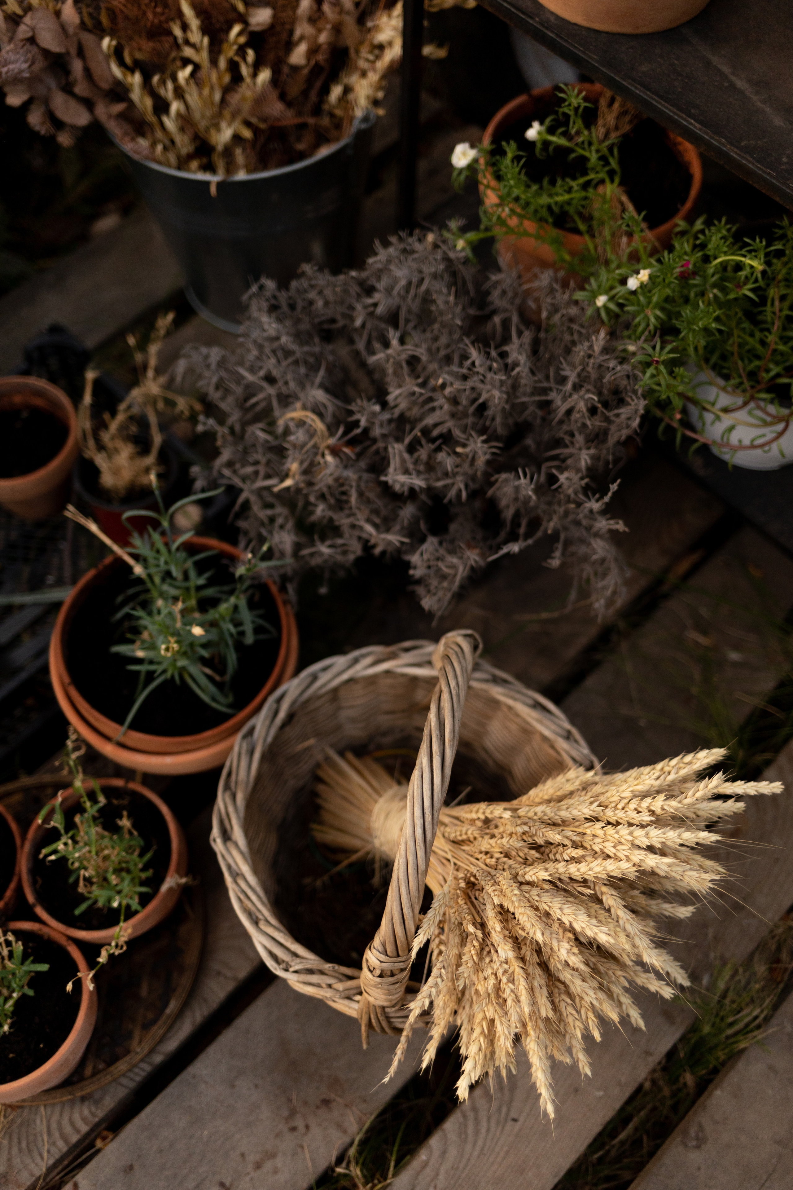 Уличная студия. Анна Демидец — маркетолог и фотограф в Новошахтинске, Шахтах и Ростове-на-Дону и онлайн по РФ