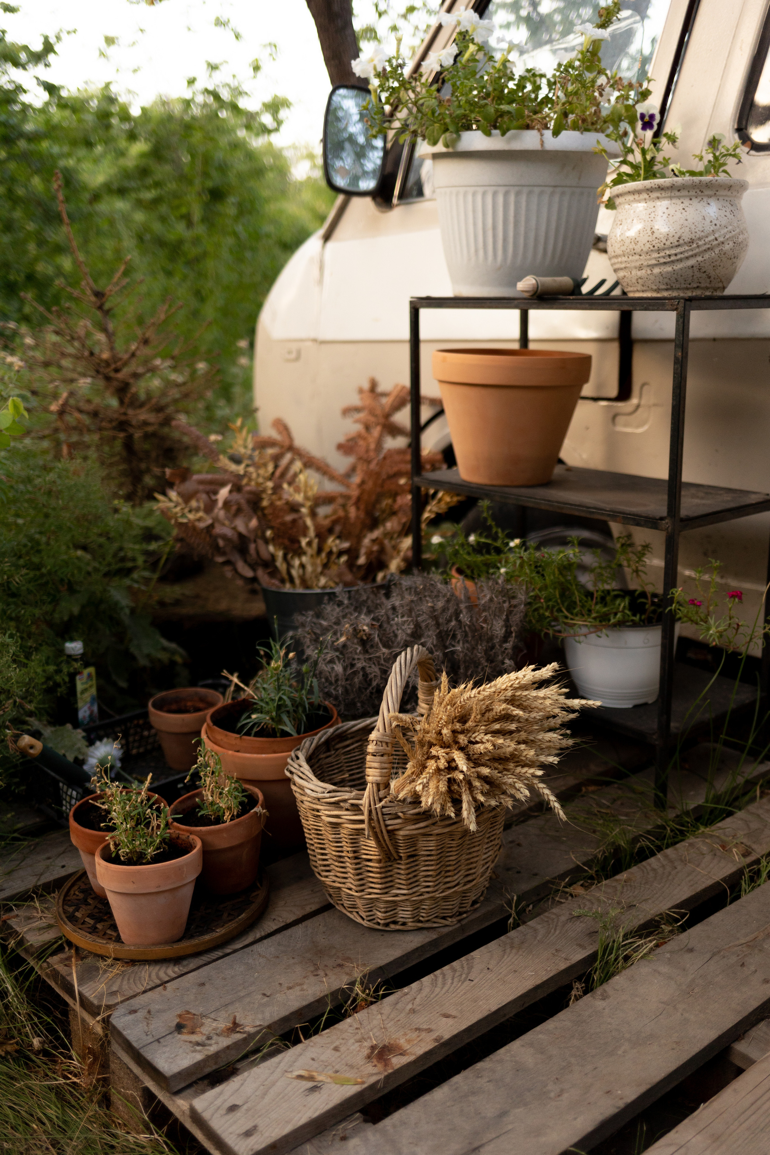 Уличная студия. Анна Демидец — маркетолог и фотограф в Новошахтинске, Шахтах и Ростове-на-Дону и онлайн по РФ