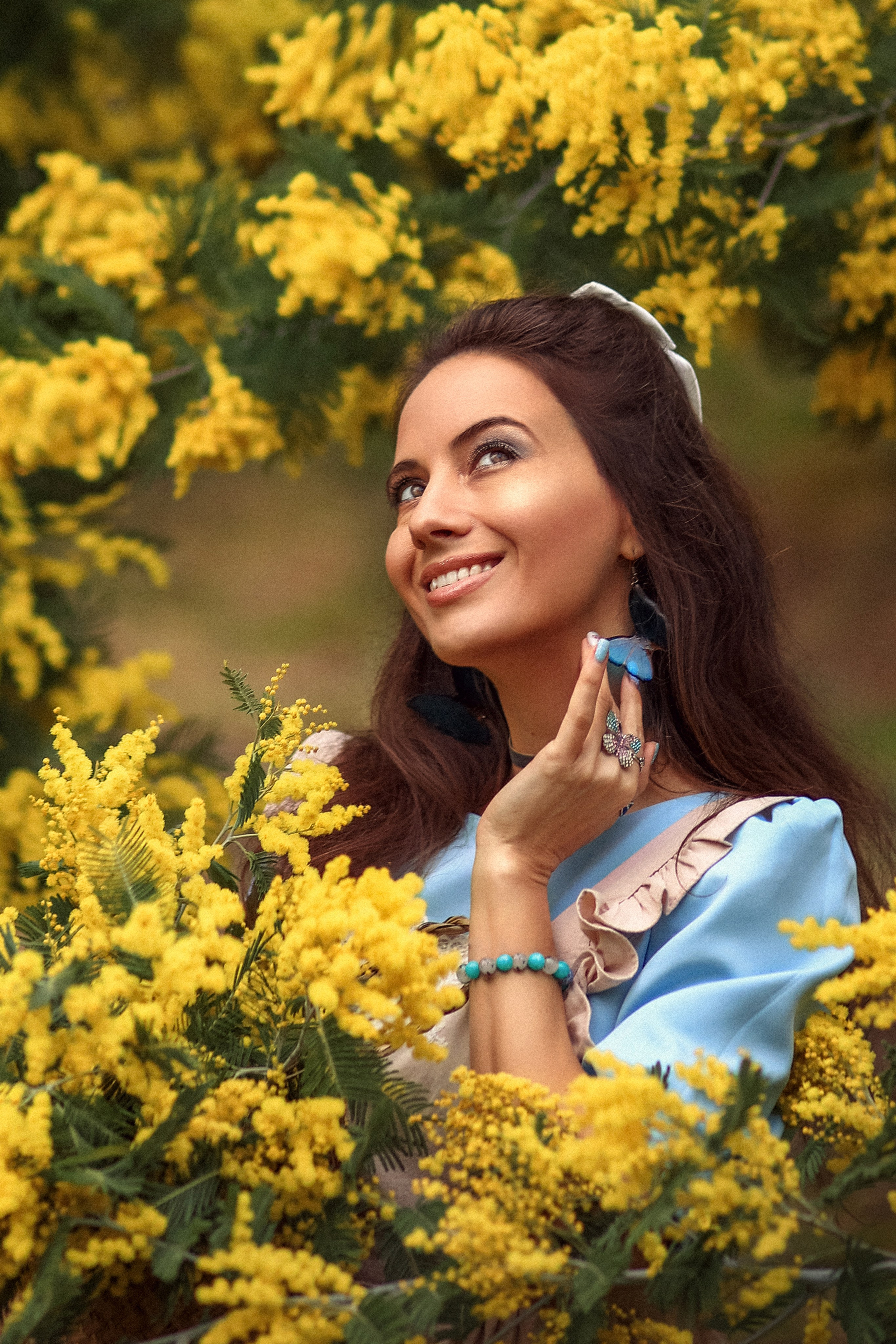 Мимоза. Фотограф в городе Сочи