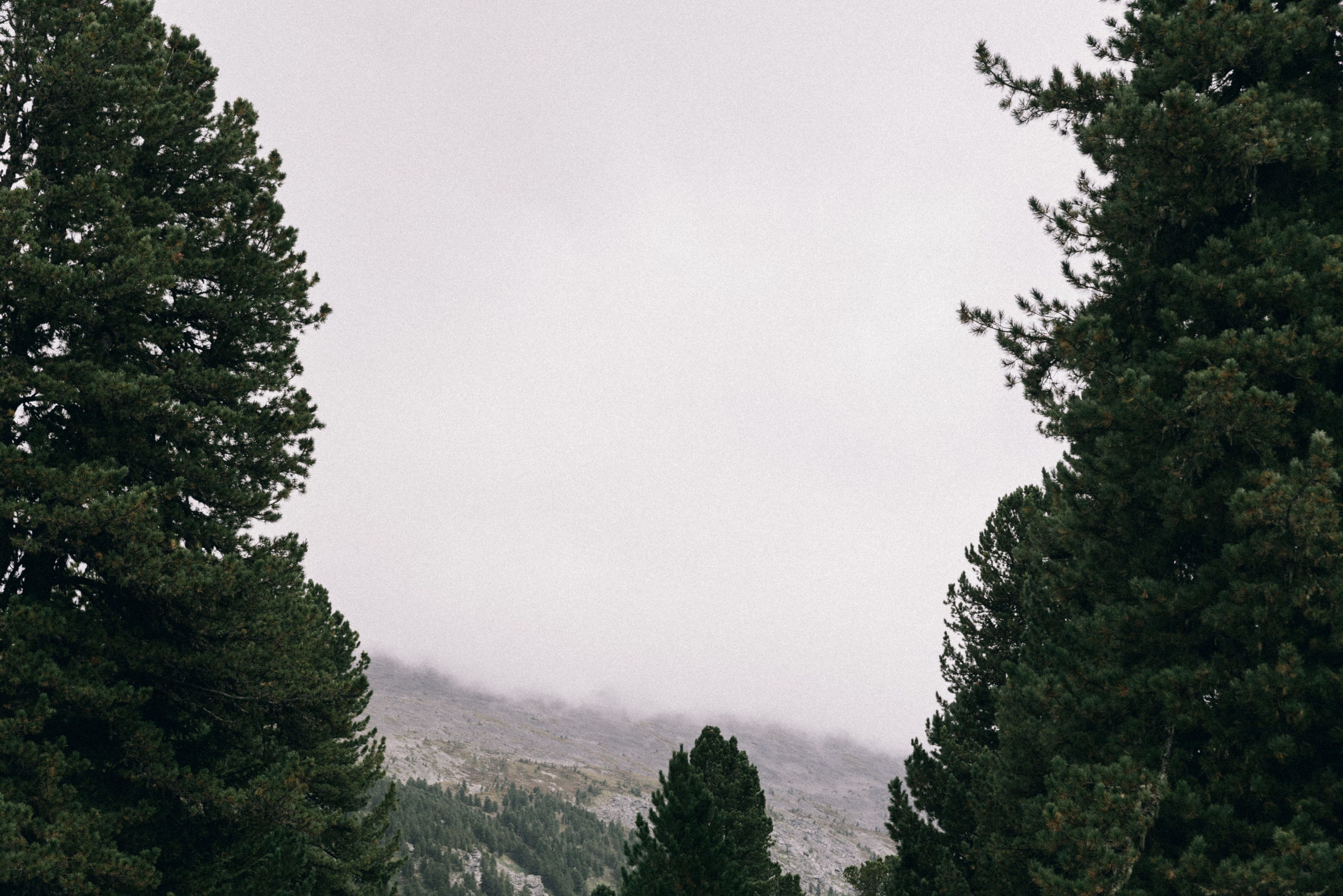 Алтай, природа и эстетика. Александр Чернин. Семейный и событийный фотограф
