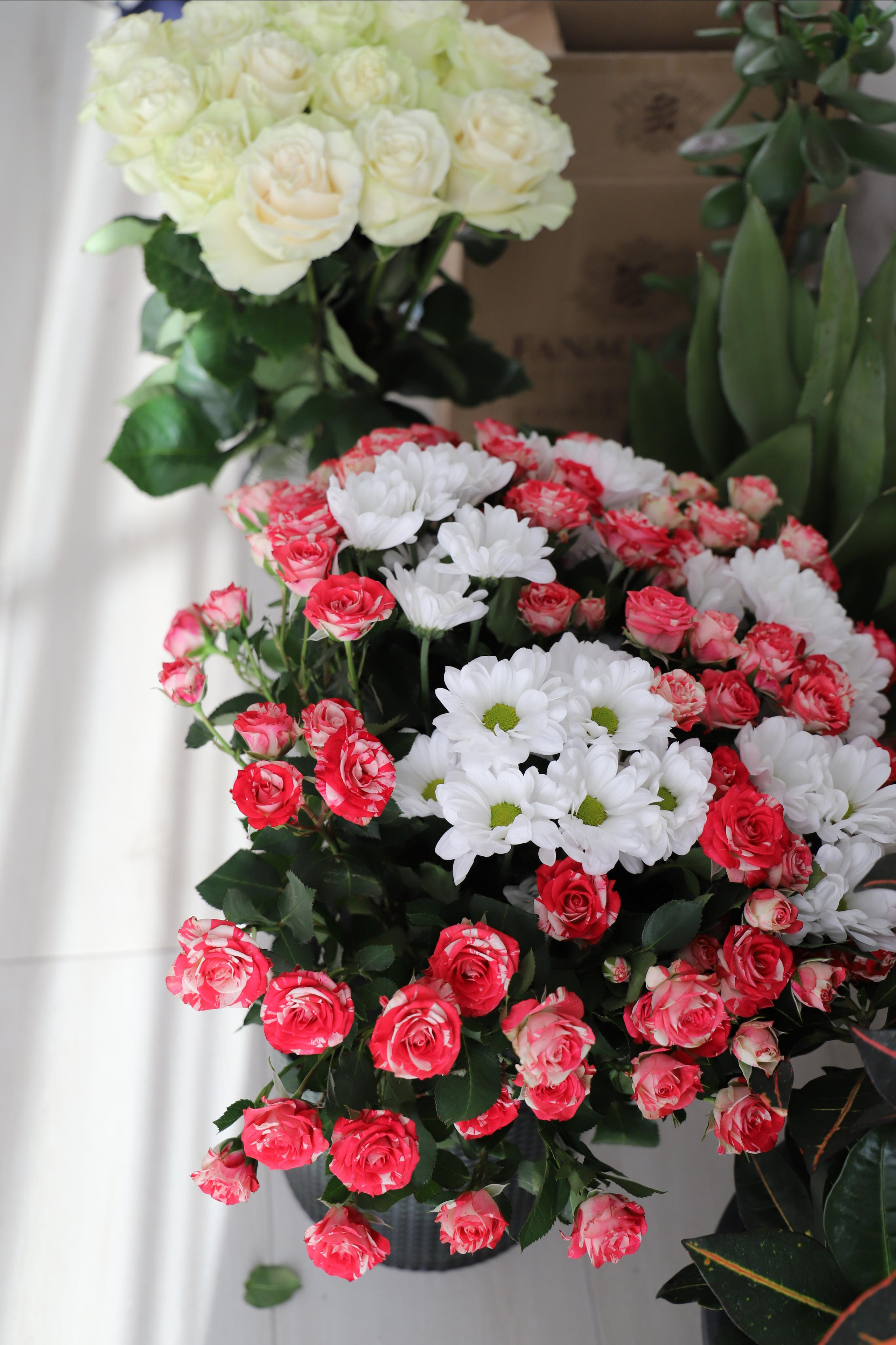 Взрослый День Рождения Татьяна (домашняя). Семейный и свадебный фотограф Видное Москва Екатерина Пятова