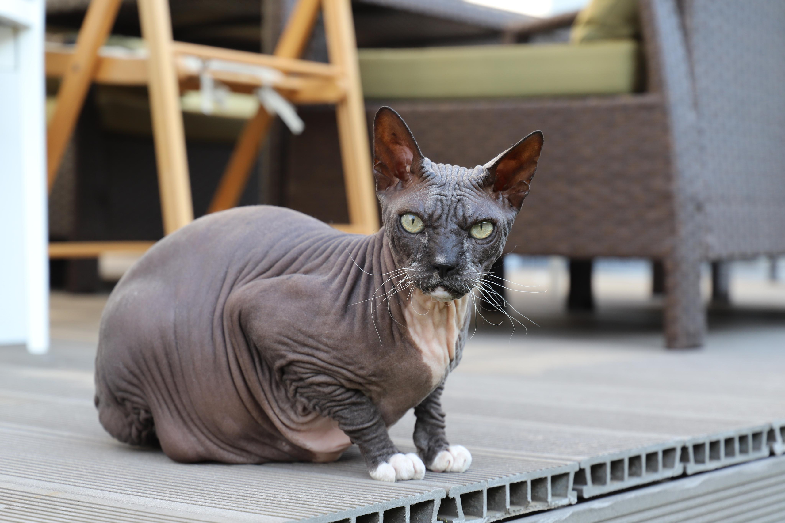 Взрослый День Рождения Татьяна (домашняя). Семейный и свадебный фотограф Видное Москва Екатерина Пятова