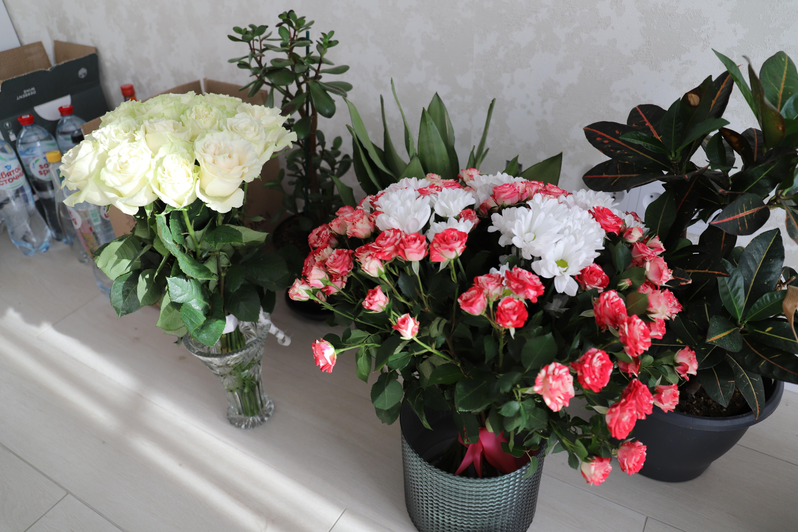 Взрослый День Рождения Татьяна (домашняя). Семейный и свадебный фотограф Видное Москва Екатерина Пятова