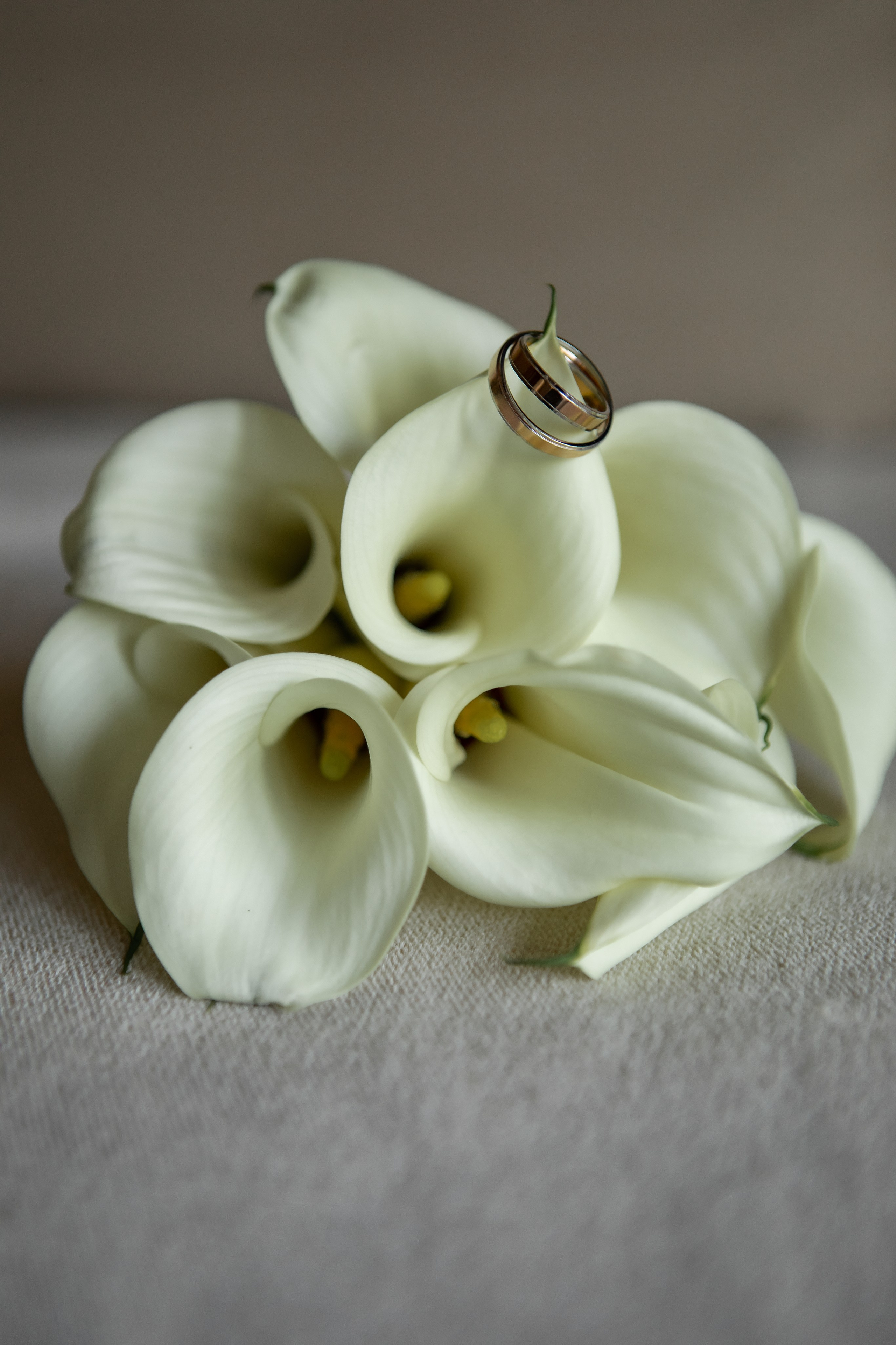 Олег & Анастасия. Ксения Федорова — фотограф