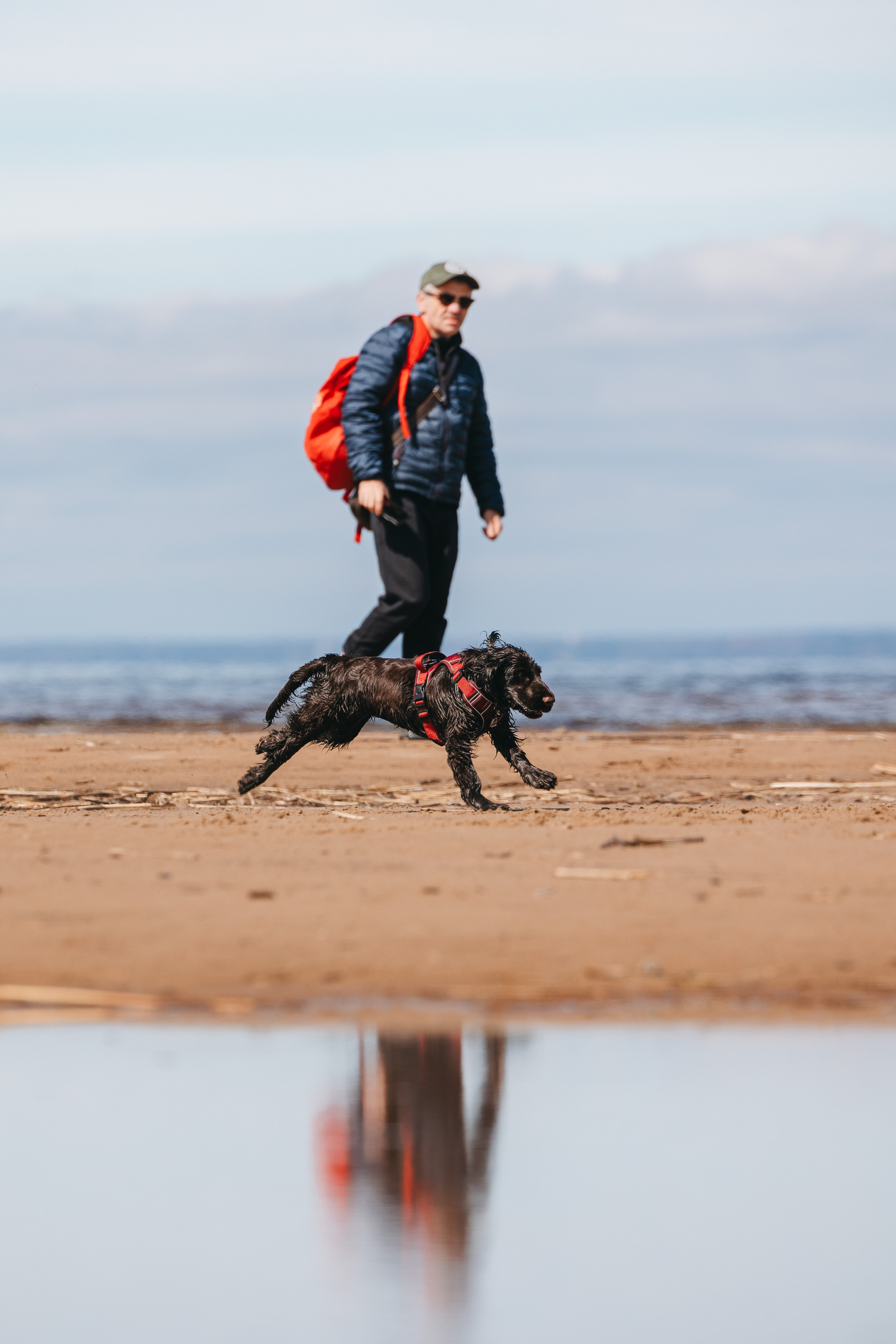 Спанимания. Фотограф анималист Осипчикова Мария