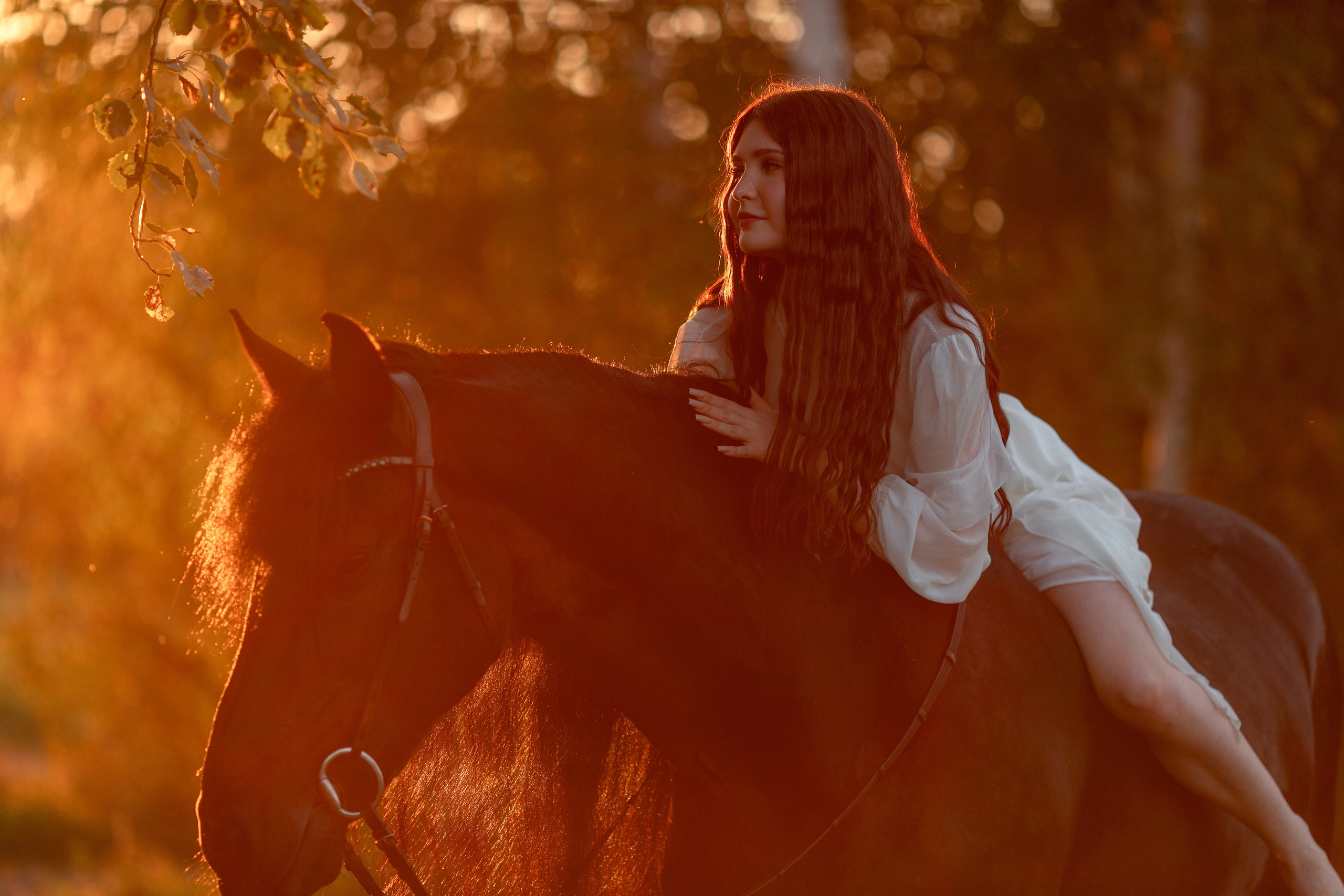 Фотосессии на лошадях в Москве и МО: конная фотосессия от фотографа Светланы Кутейниковой. Фотосессии с лошадьми в Москве от Конный фотографа Кутейниковой Светланы