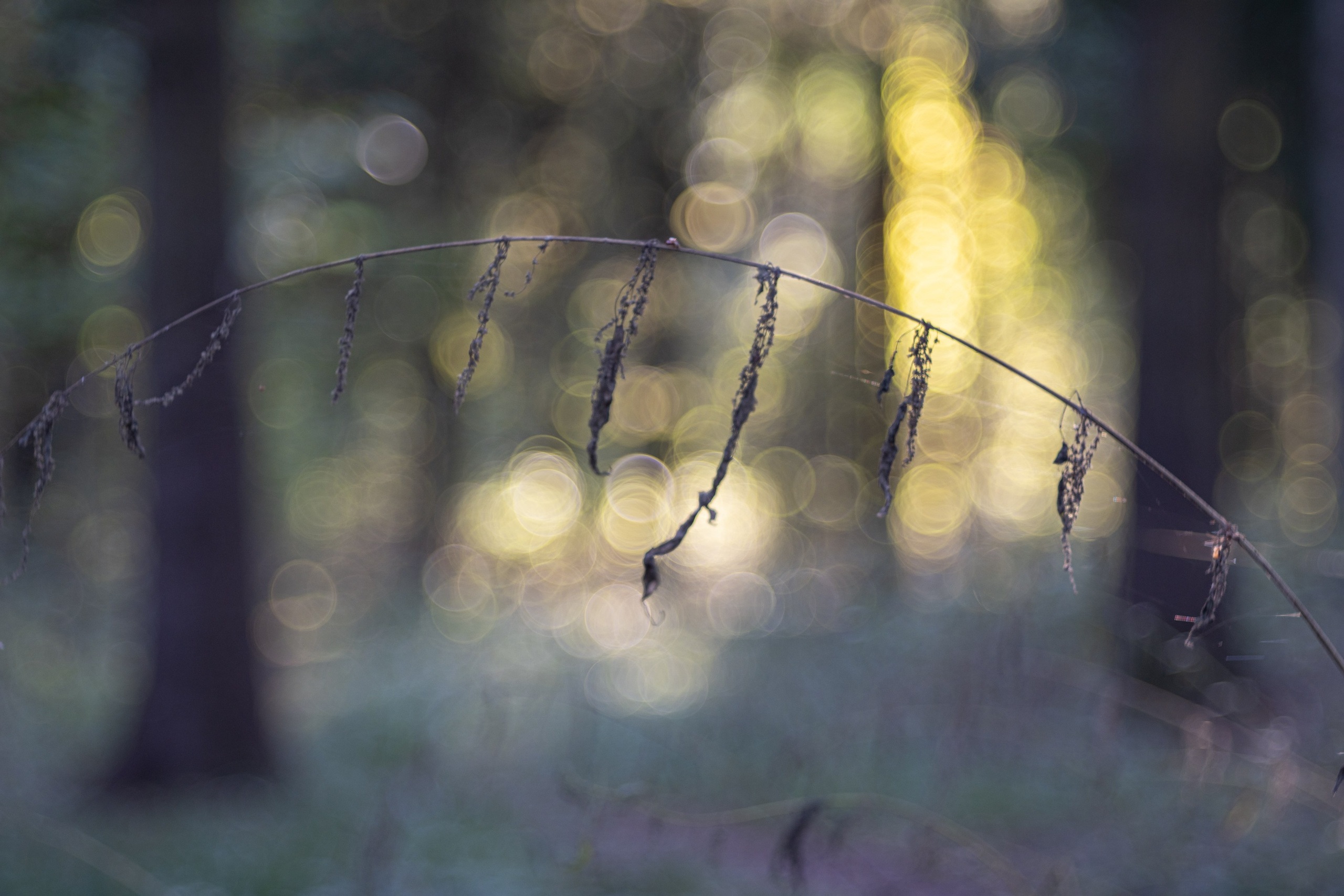 ПЕРЕДЕЛКИНО. ПОБУДЬ ЗДЕСЬ И ЦЕЛЕЕ БУДЕТ ЭТОТ МИР