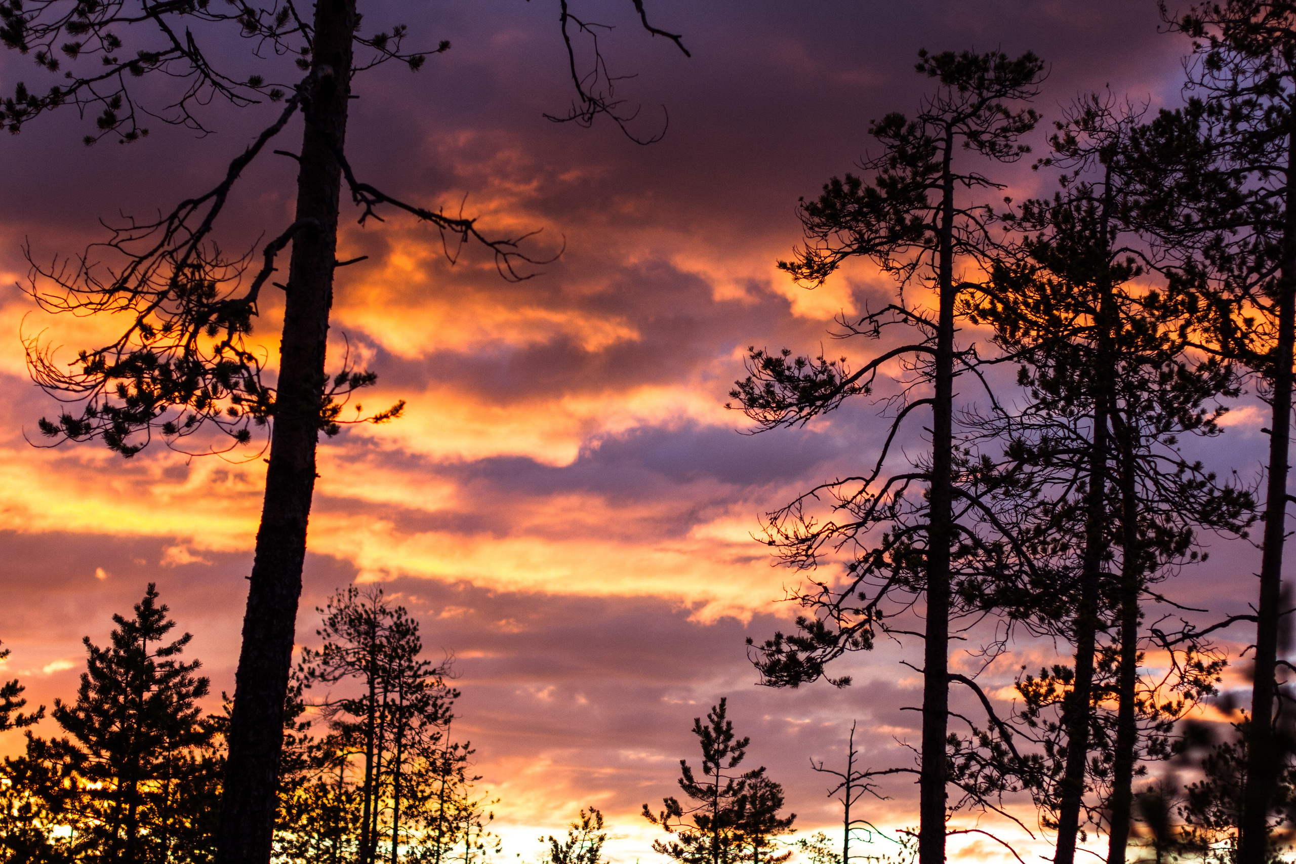 The last protector of Imlor lake. Documentary photographer, film maker and storyteller