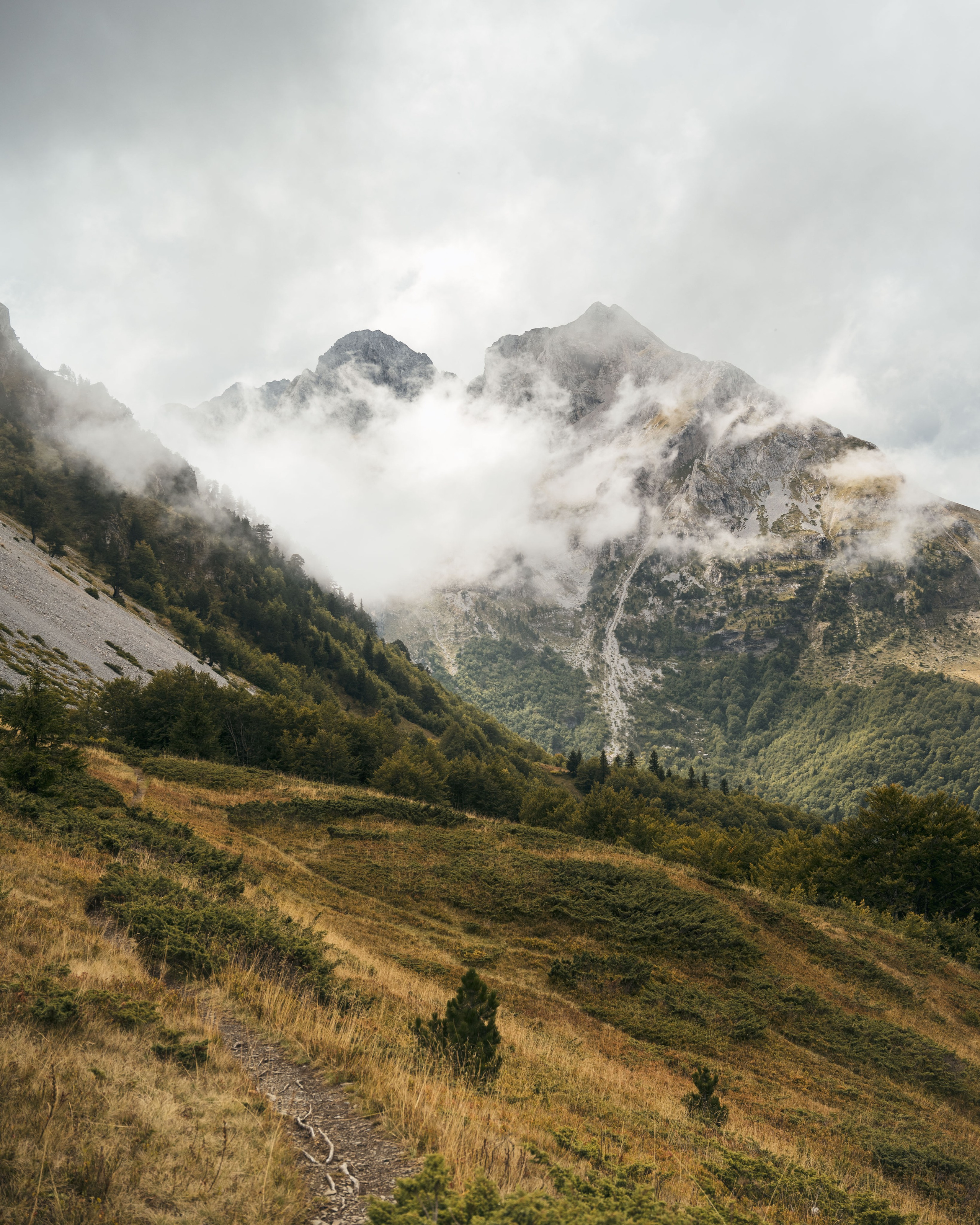 ГОРЫ КОМОВИ. ЧЕРНОГОРИЯ. Фотограф в Белграде Чугреева Елена
