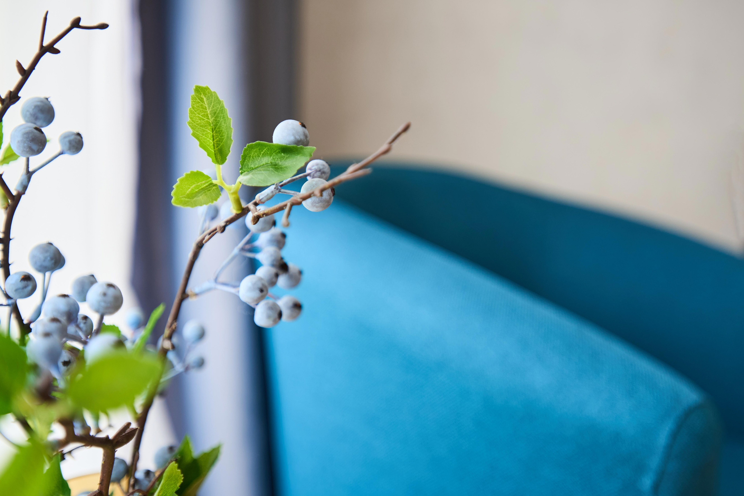 ЖК Минск Мир. Автомобильный и интерьерный фотограф в Минске Александр Тагаев