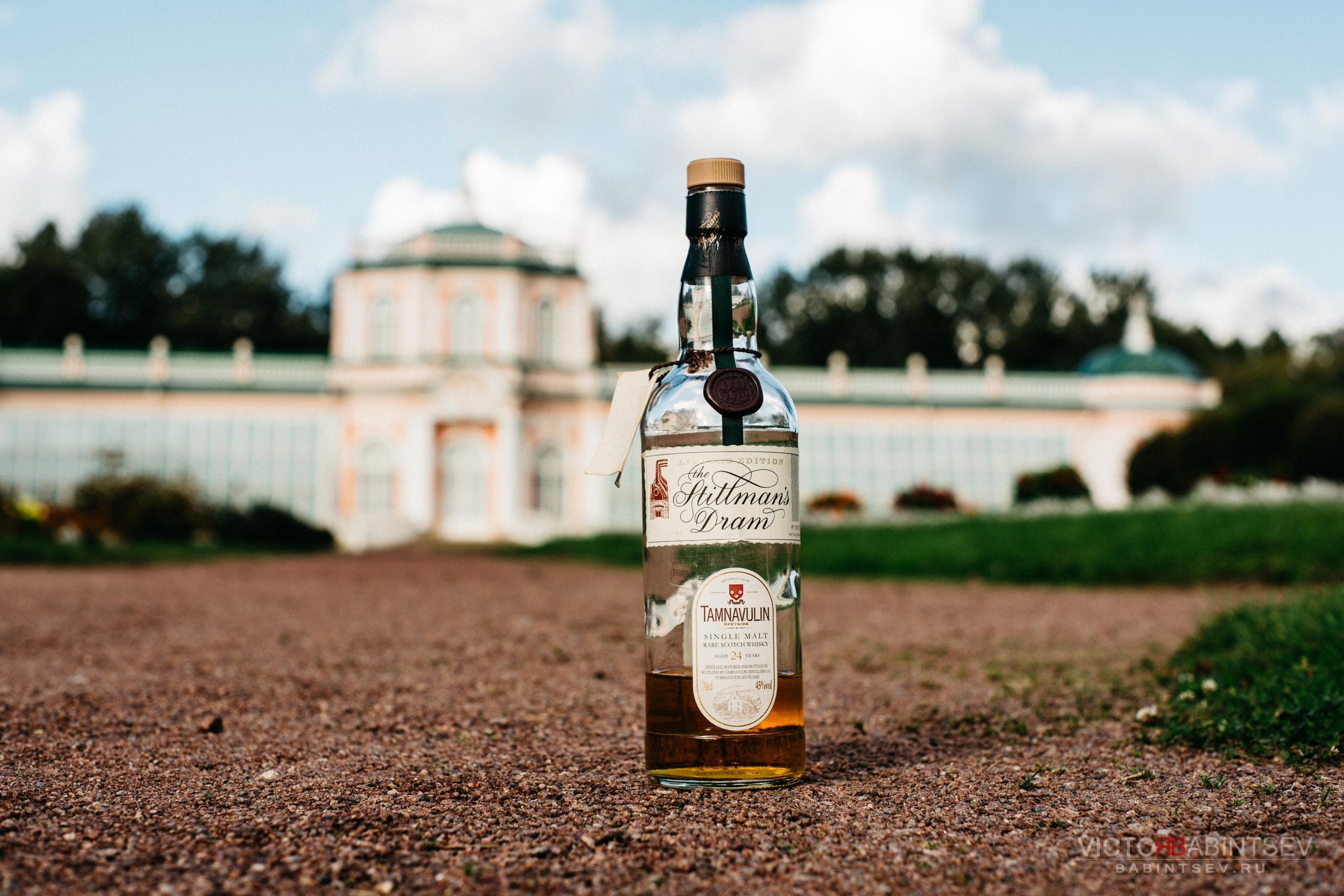 Whisky. Семейный и репортажной фотограф в Красноярске и Москве Виктор Бабинцев