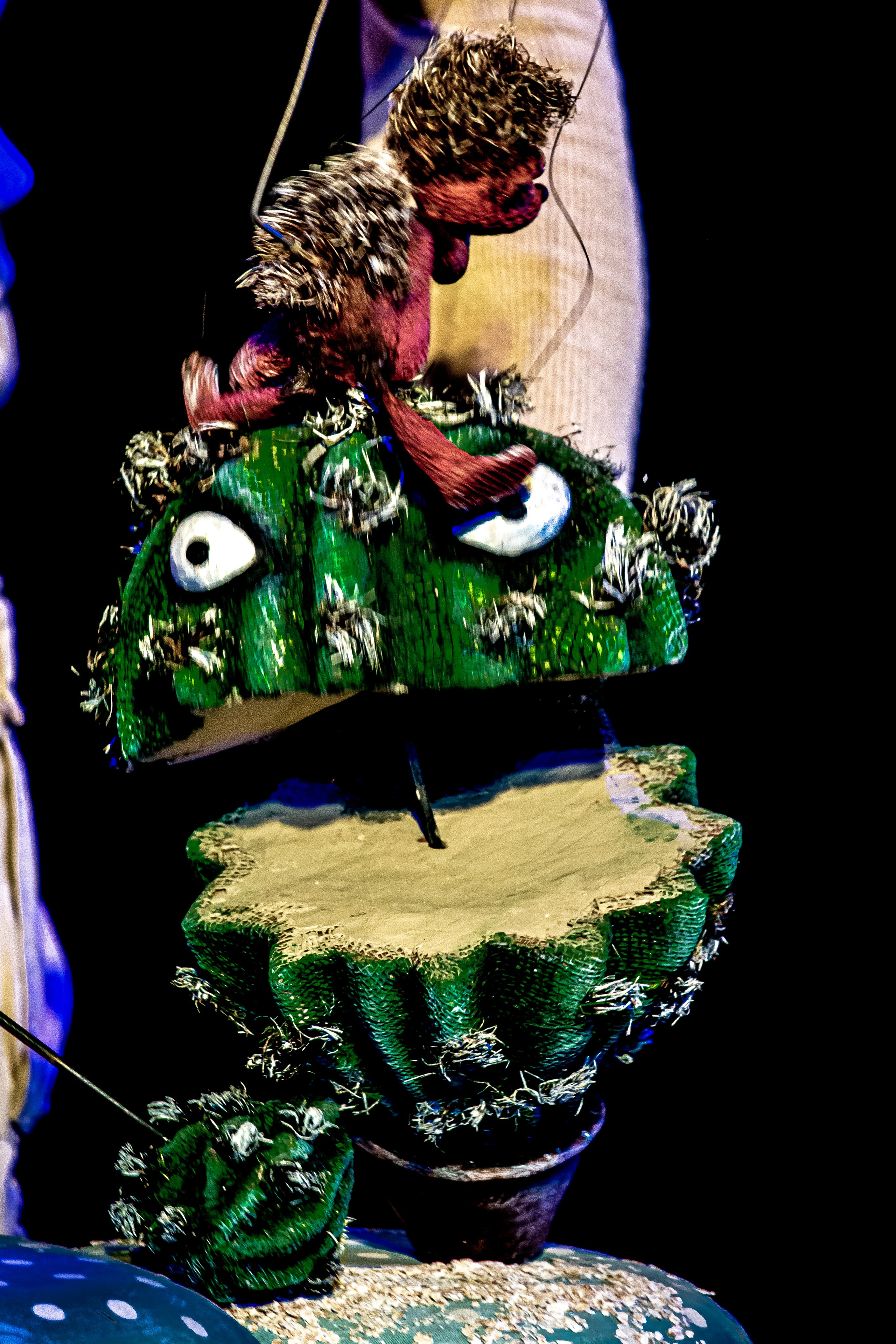 Колючая сказка. Фотограф в Сочи Юрий Шептаев