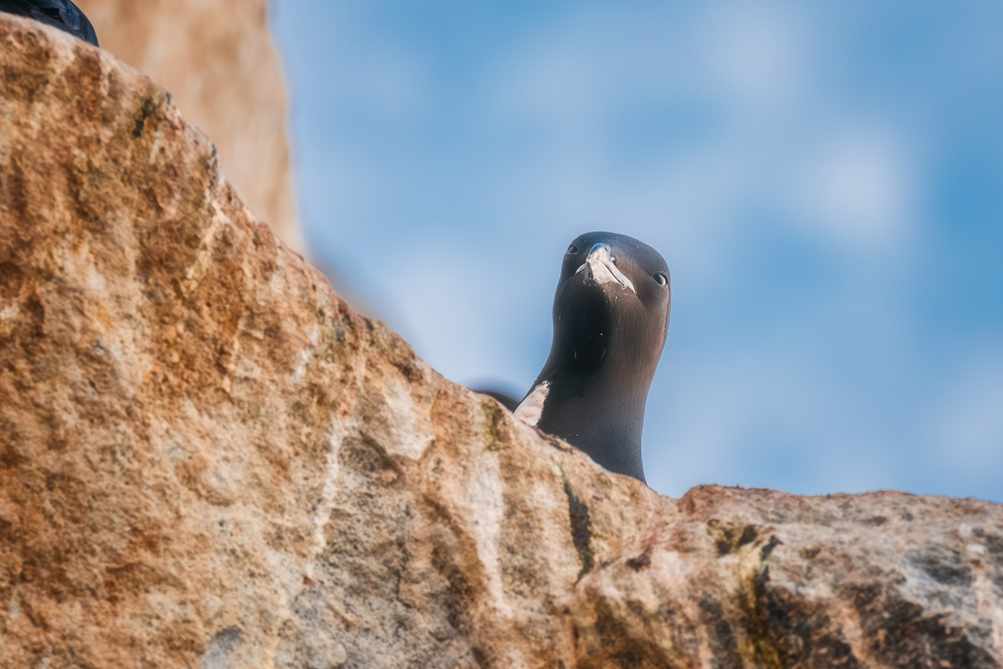 Арктика. Аэросъемка в Архангельске, Александр Ермолин