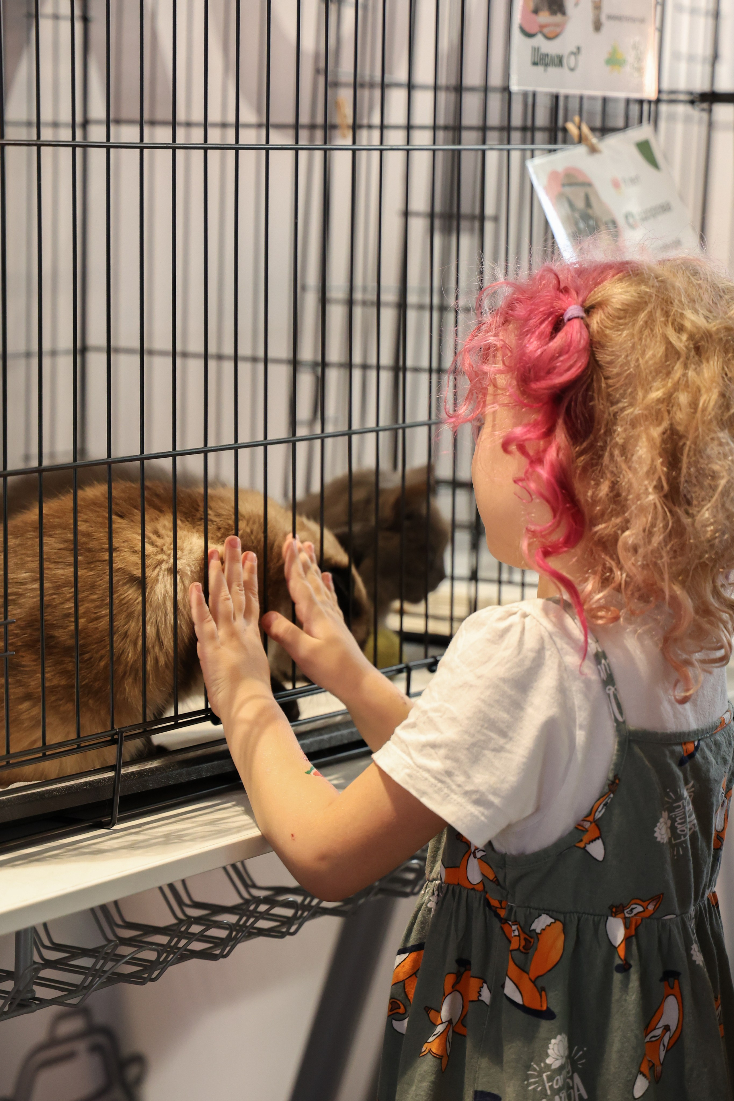 ECO FEST. Фотограф Вадим Бодылев