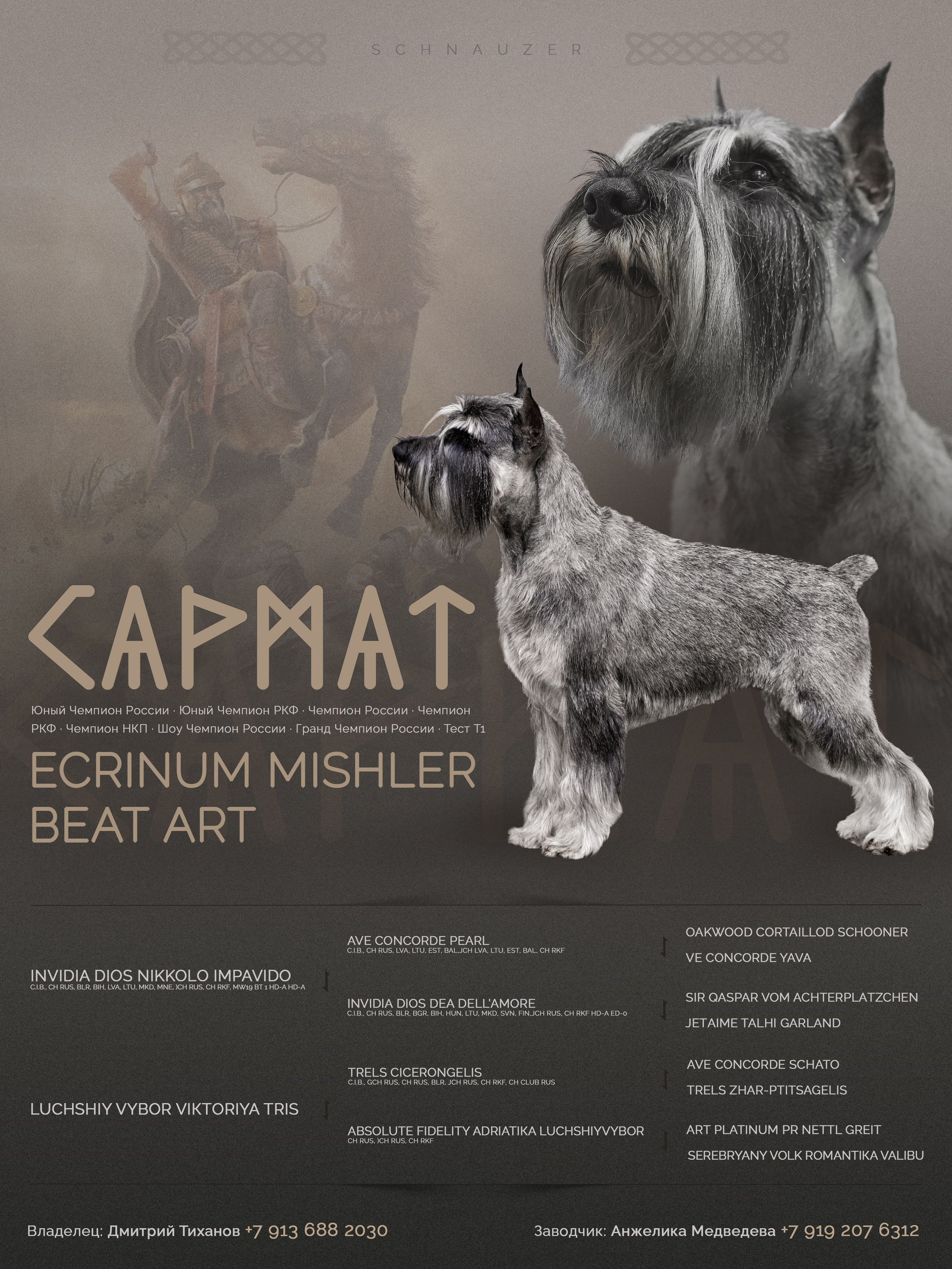 Дизайн. Фотограф-анималист в Калуге Мария Шерскова