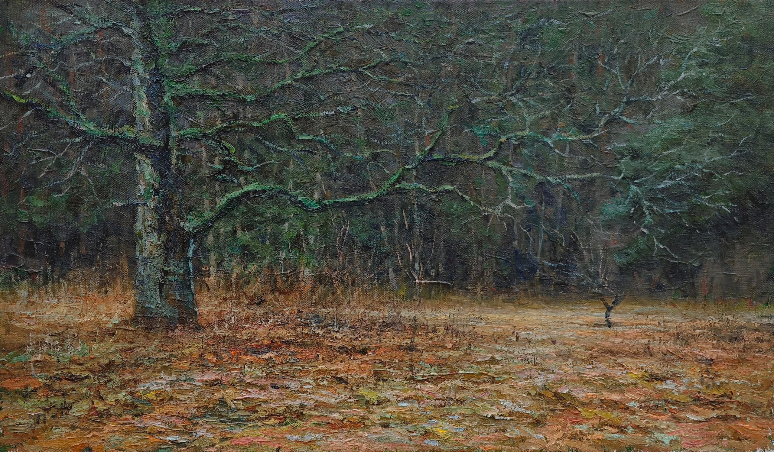 "Старое дерево" 