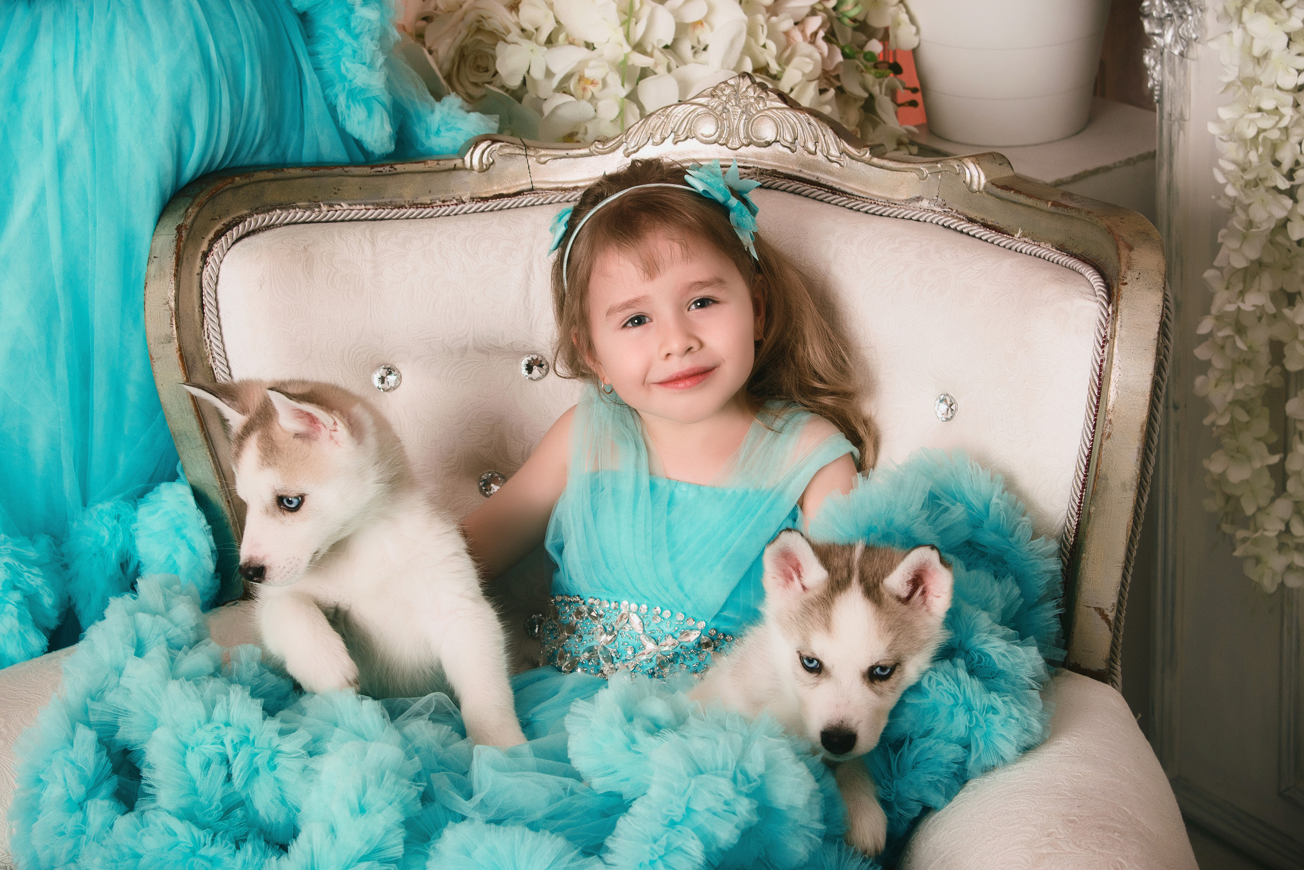 Семейная фотосессия с хаски. Свадебный и семейный фотограф в г. Краснодар Екатерина Зверева
