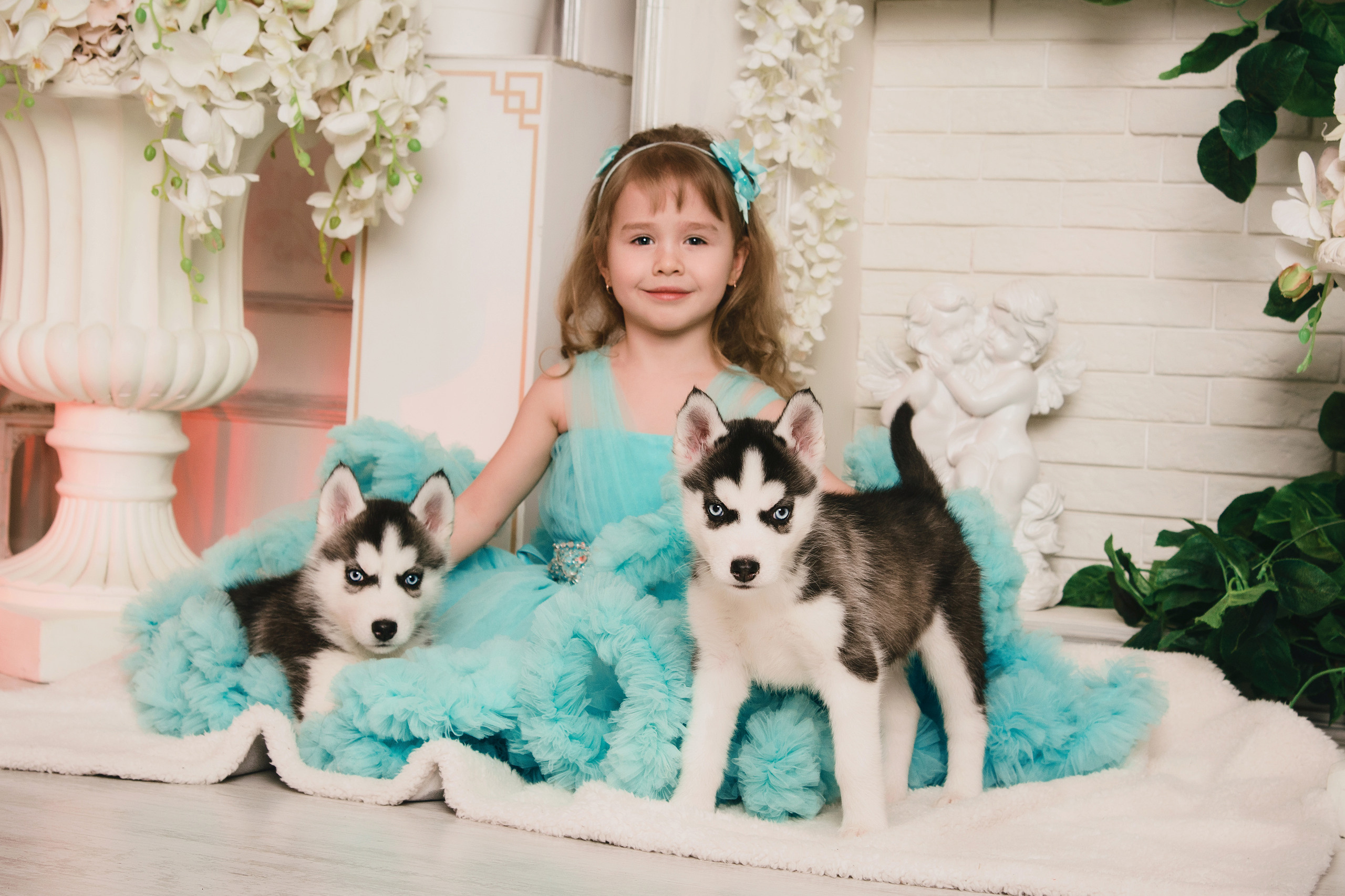 Семейная фотосессия с хаски. Свадебный и семейный фотограф в г. Краснодар Екатерина Зверева