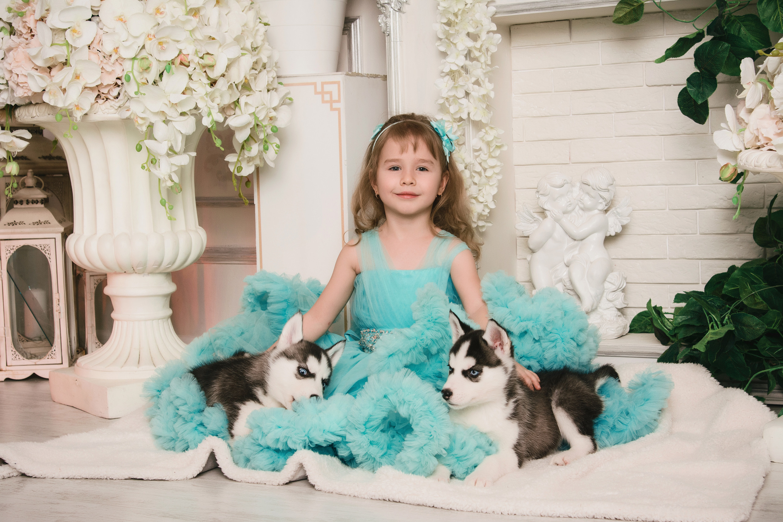 Семейная фотосессия с хаски. Свадебный и семейный фотограф в г. Краснодар Екатерина Зверева