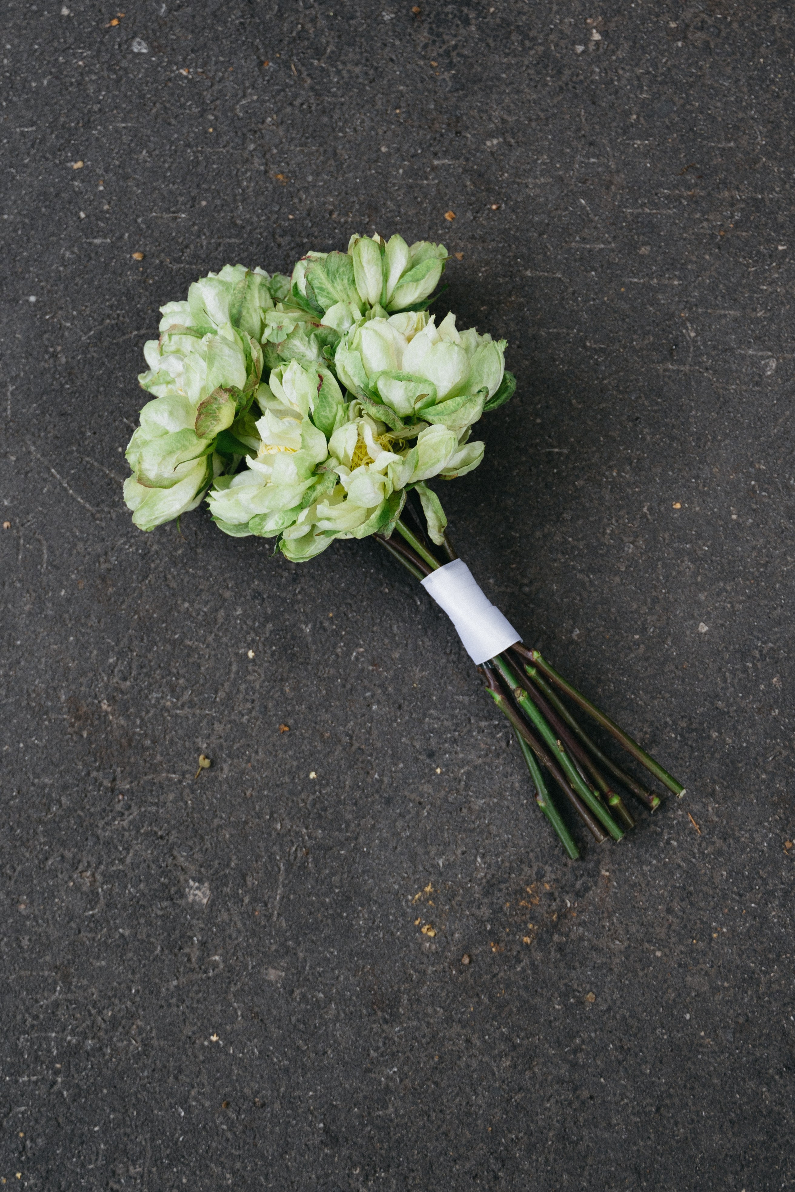 Люба и Влад / 2025. Свадебный фотограф Нижний Новгород Фатичев Артем