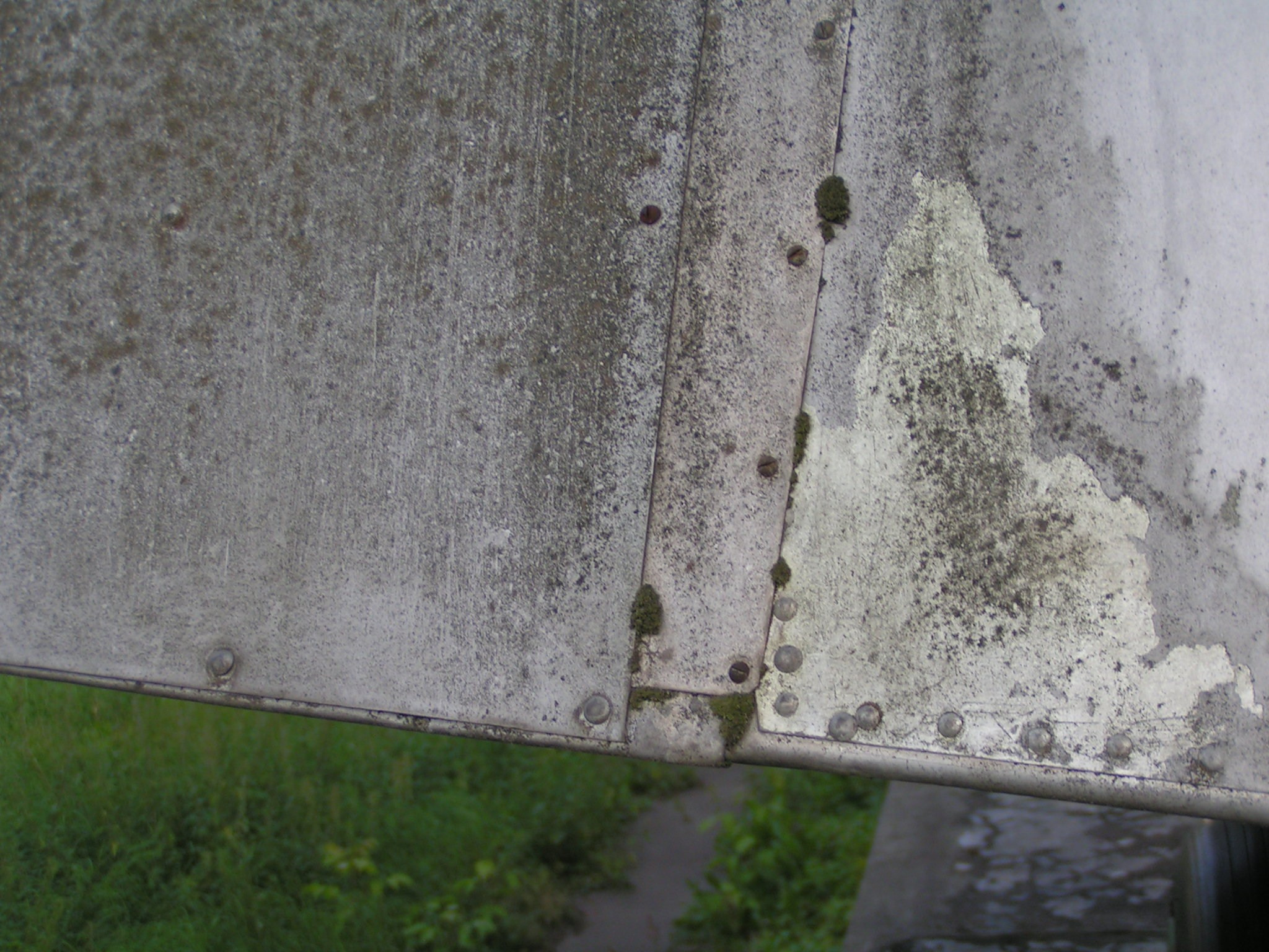 Ил-14 (Быково) — уничтожен. Фотоальбом показывающий увлекательный мир авиации и мир медведей Андрея Иванова