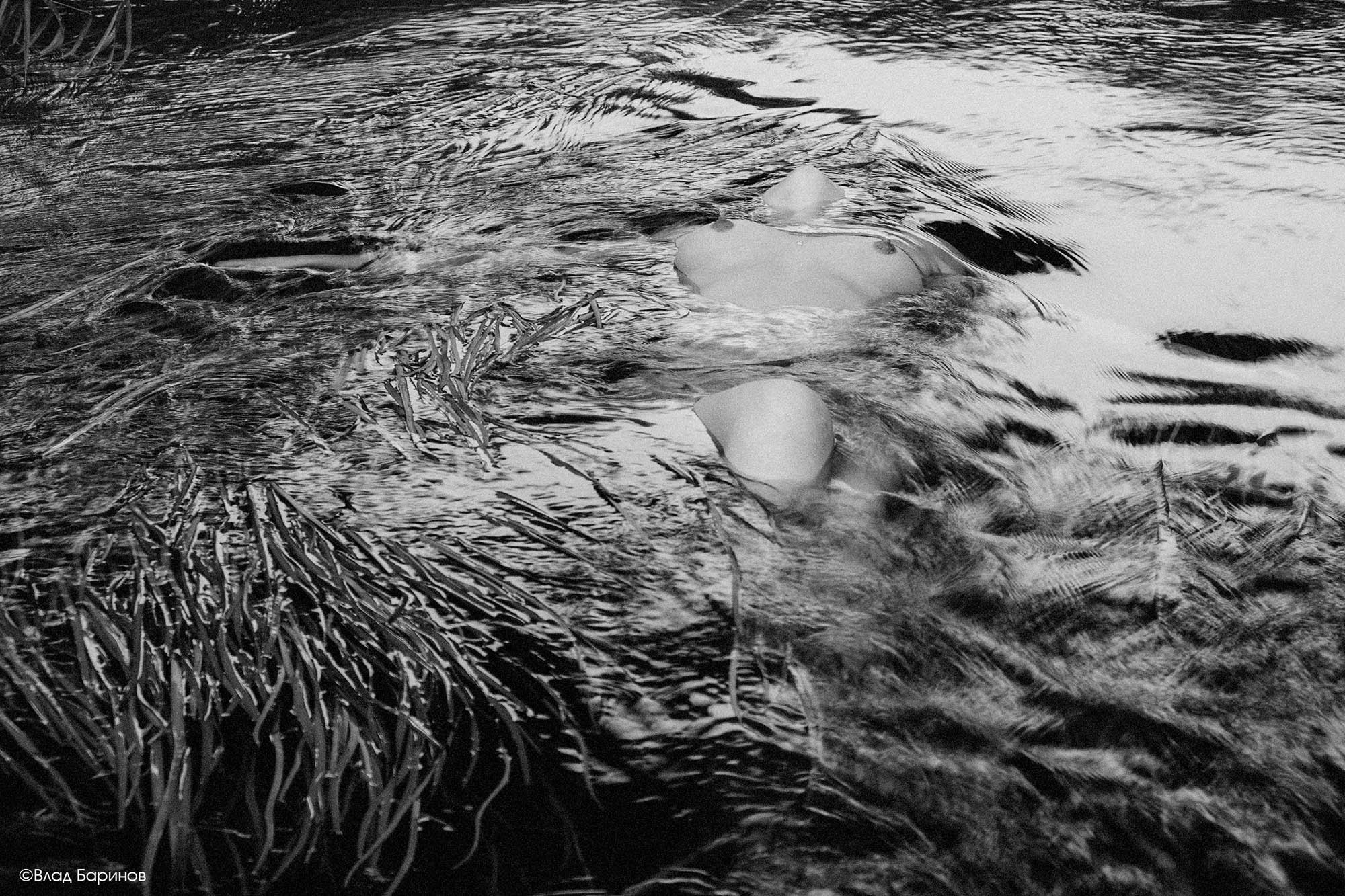 Обнаженная натура на реке