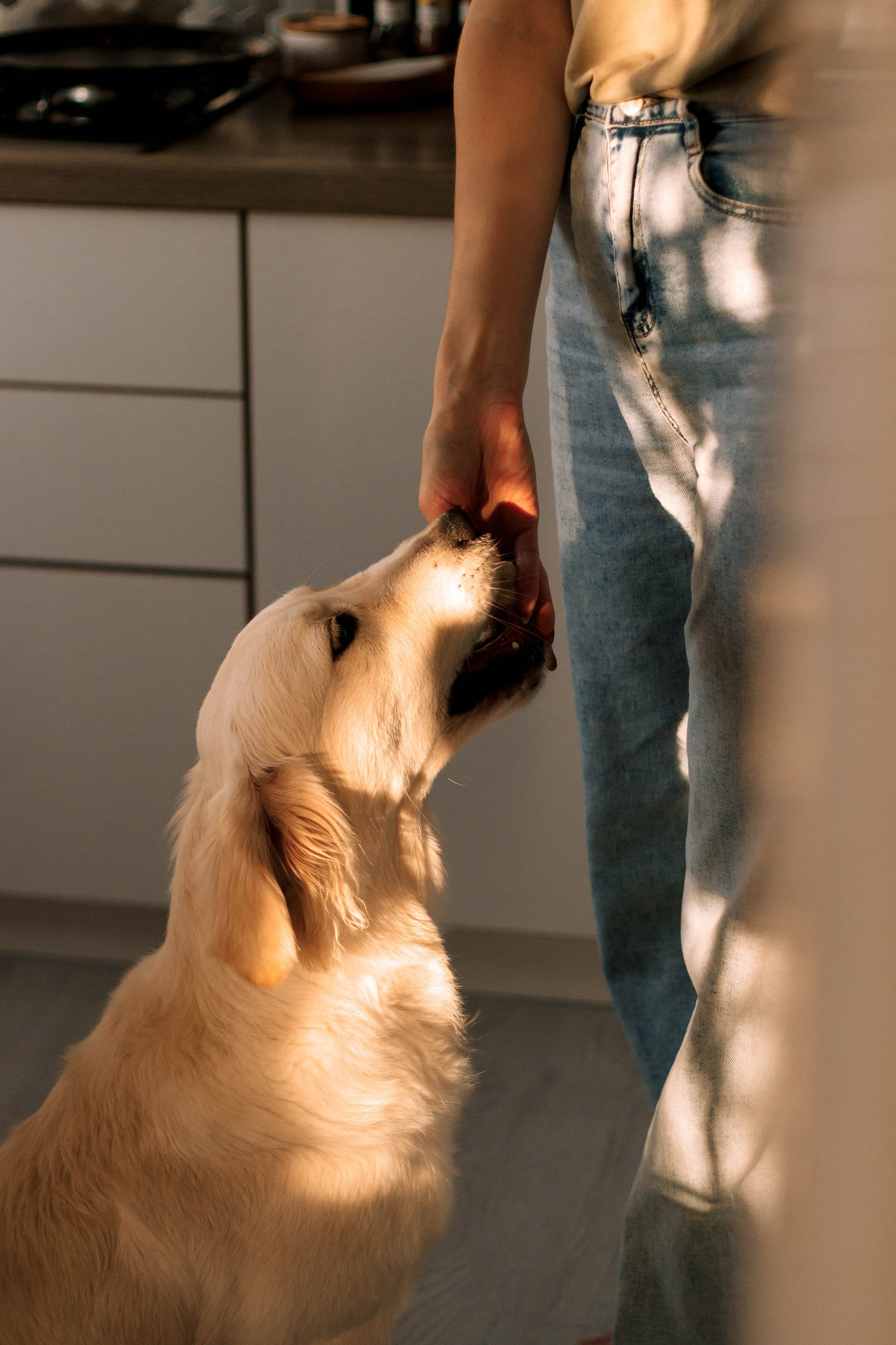 Пицца своими руками. Фотограф в Краснодаре Ксения Мархинина