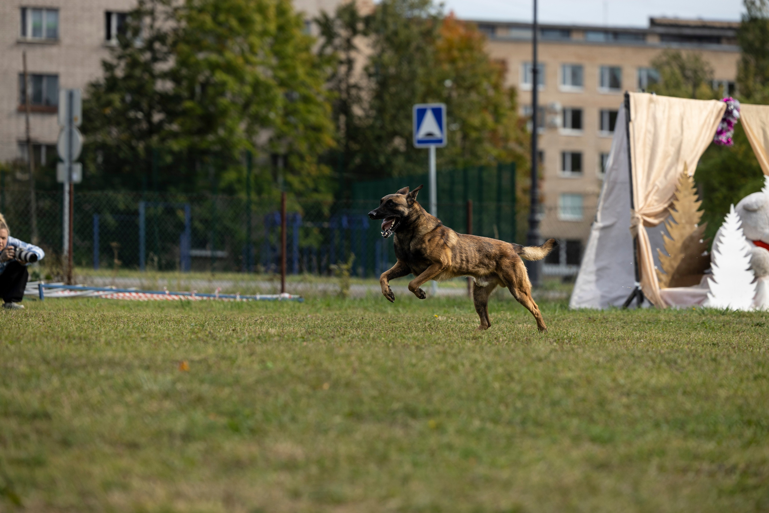 Испытания по Мондьорингу г. Пушкин. Фотограф-анималист Анна Маринич
