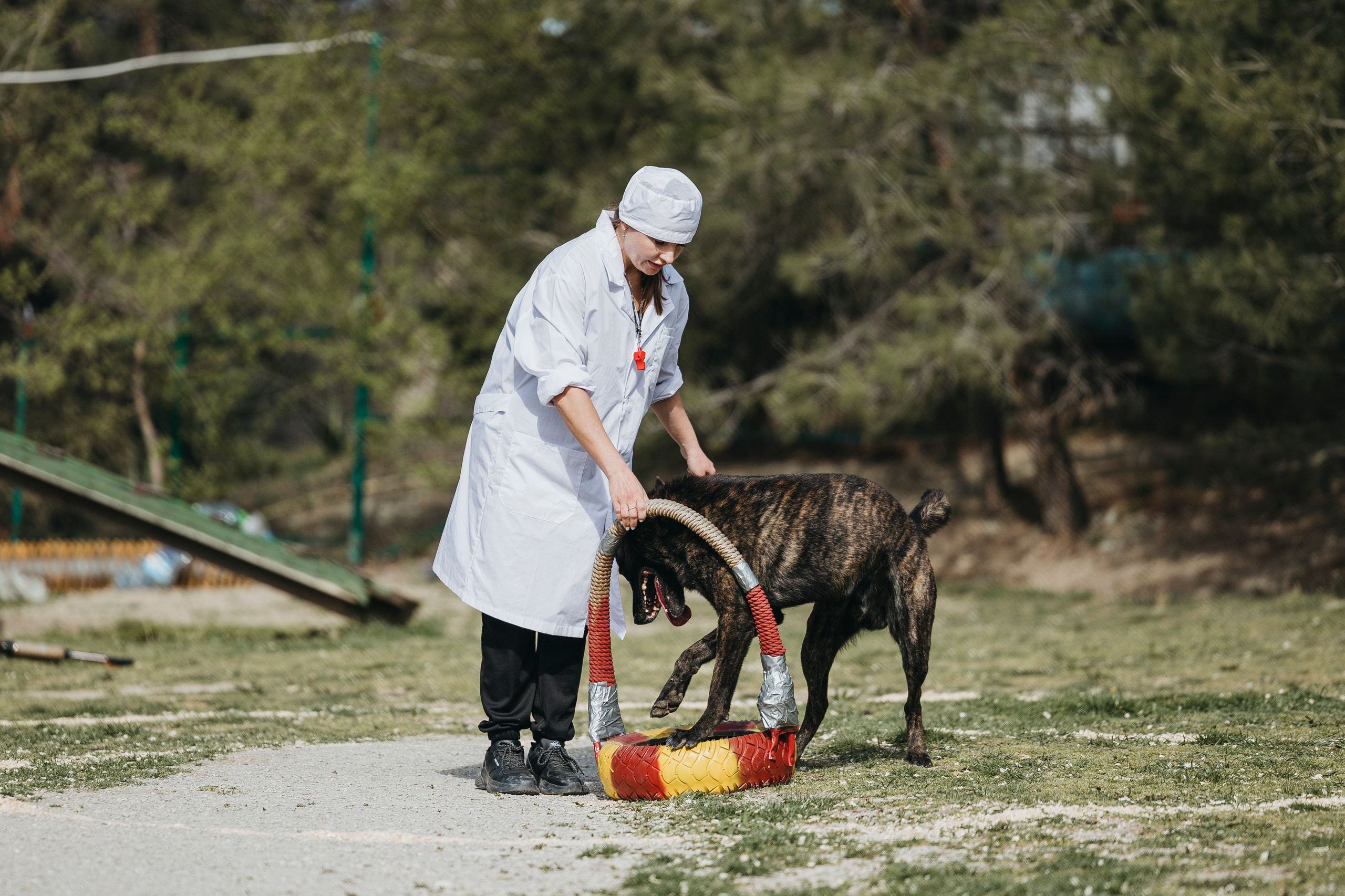 Геленджик Мондьоринг. Фотограф-анималист Анна Маринич