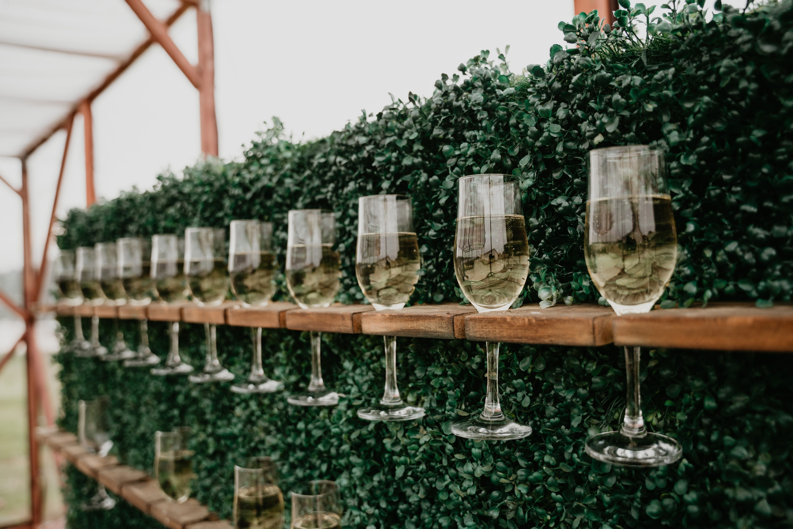 A&V. Фотограф Очагов Дмитрий Ярославль, Москва, Переславль-Залесский