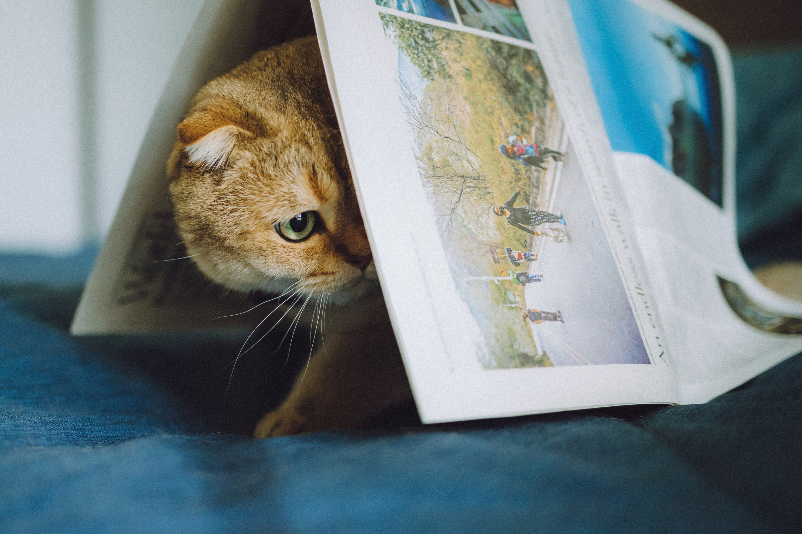 Генри и его семья