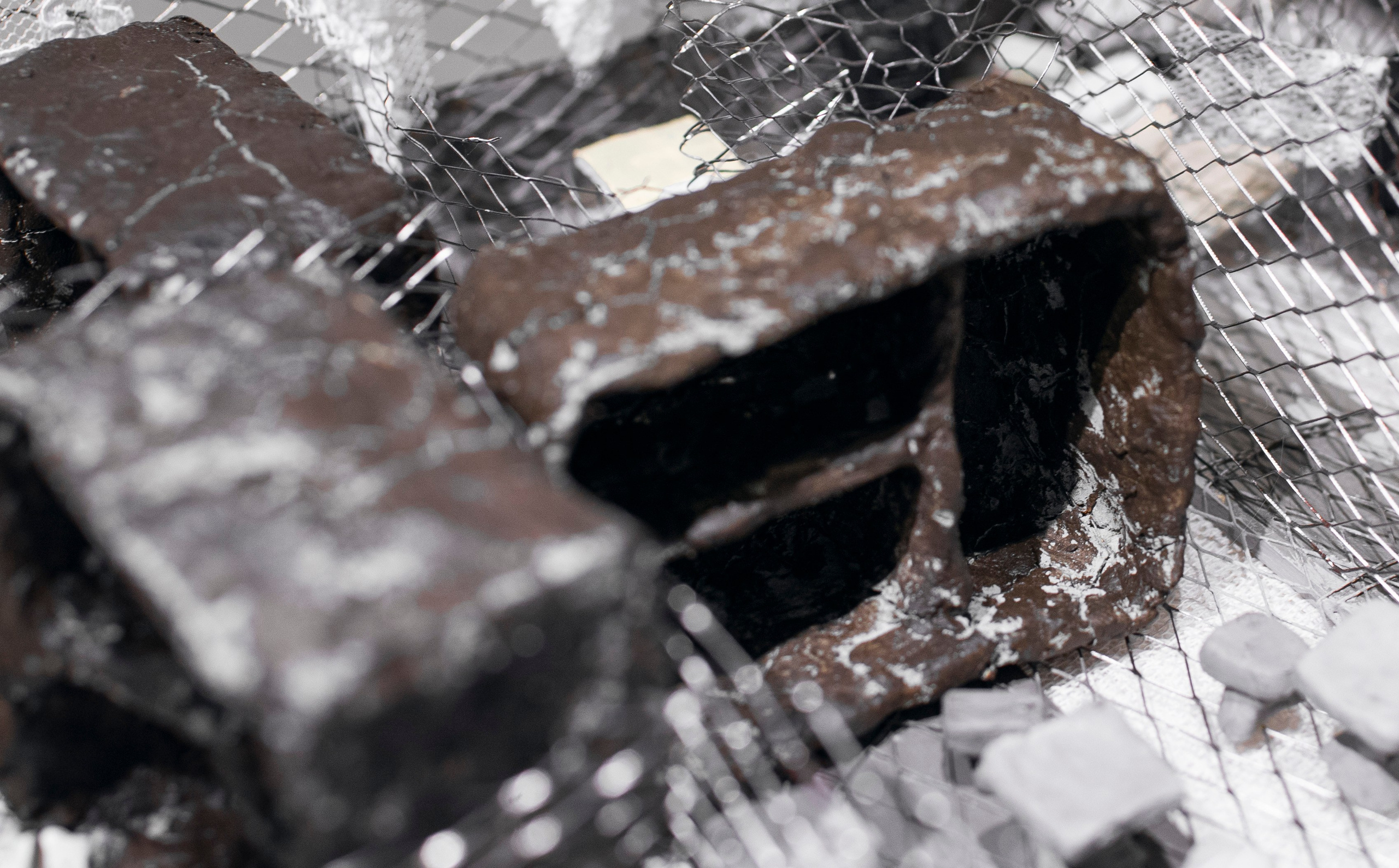 Выставка в доме Третьяковых. Фотограф в Москве Алейникова Евгения